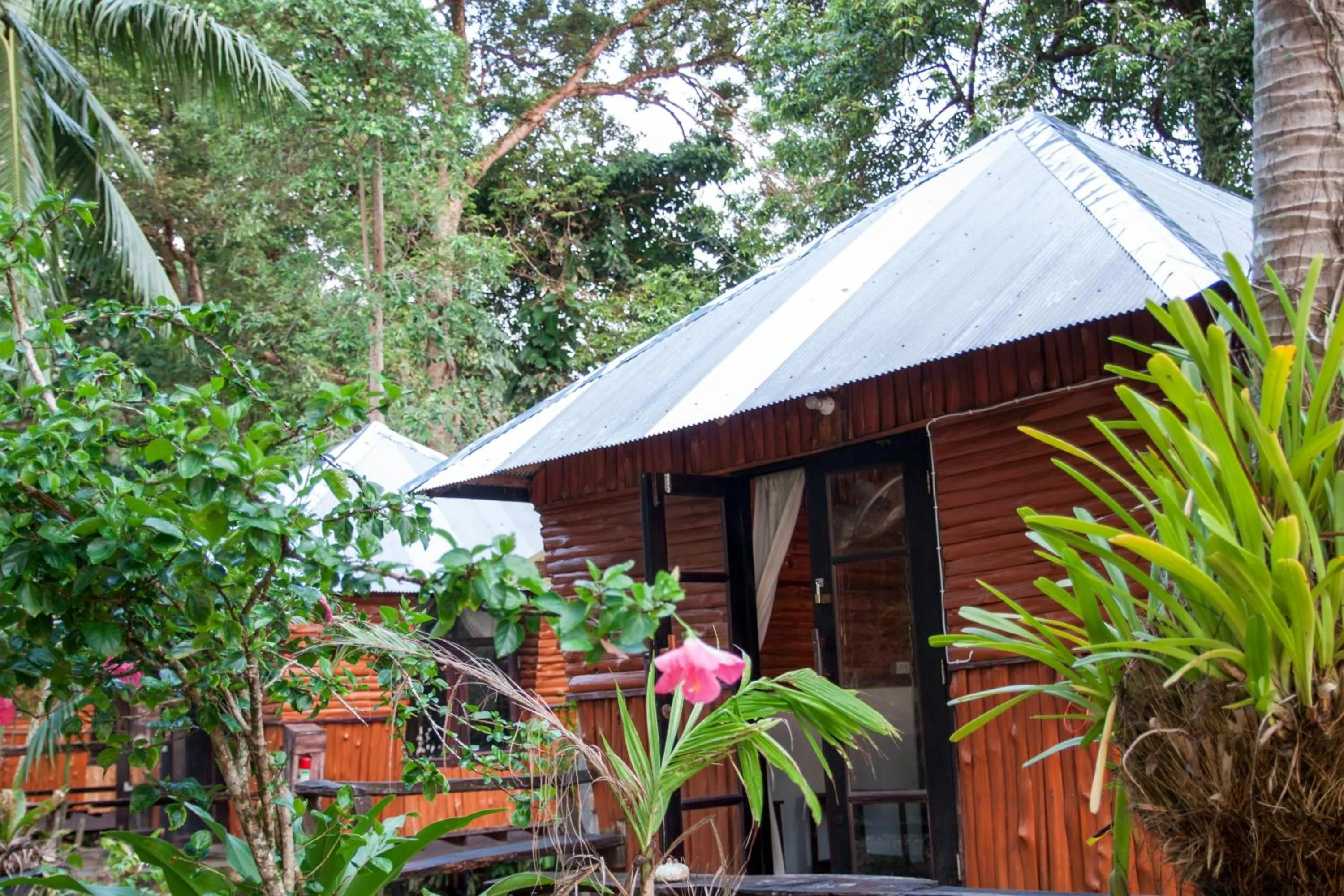 Property building in Ban_na