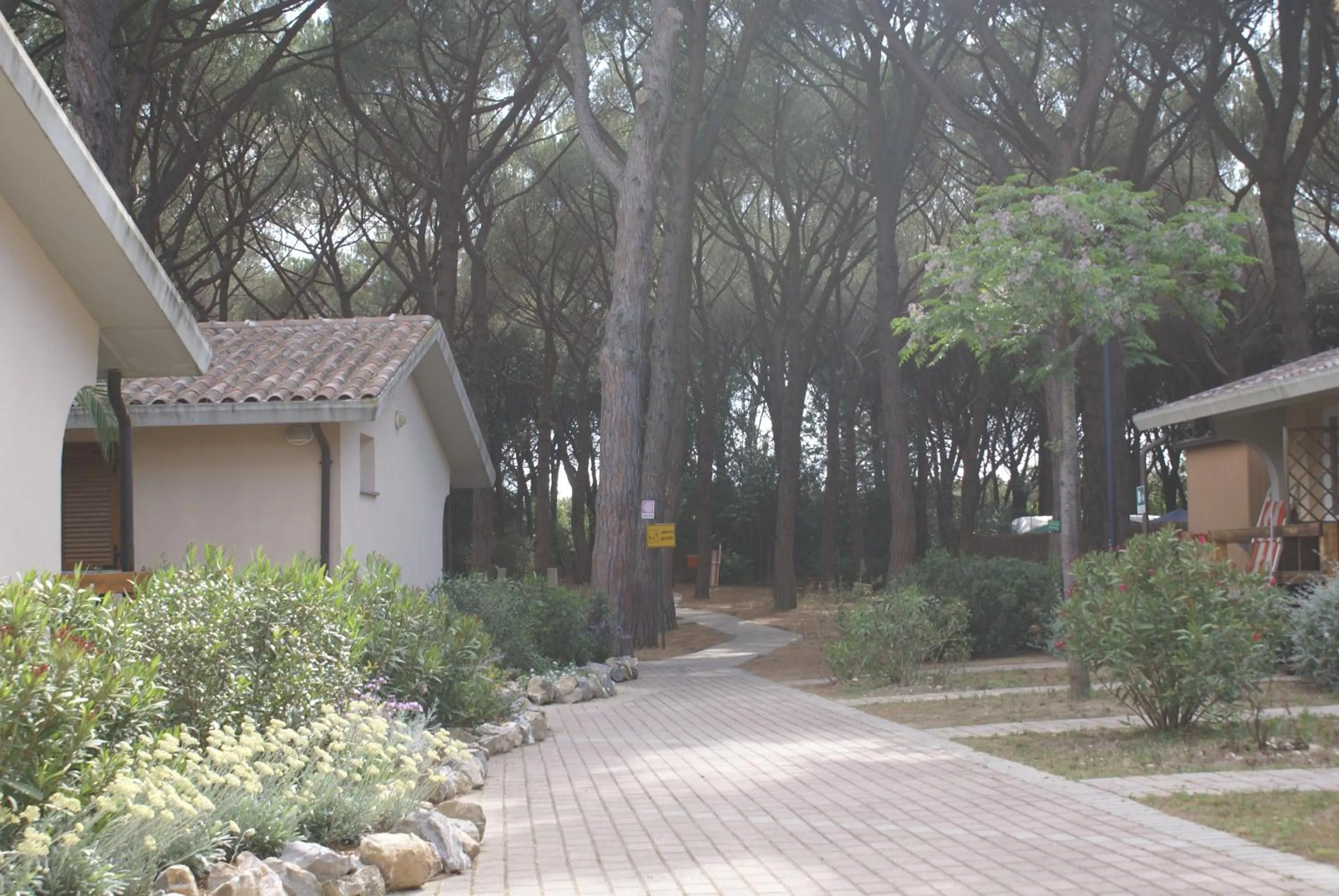 Other in Golfo di Maremma Village