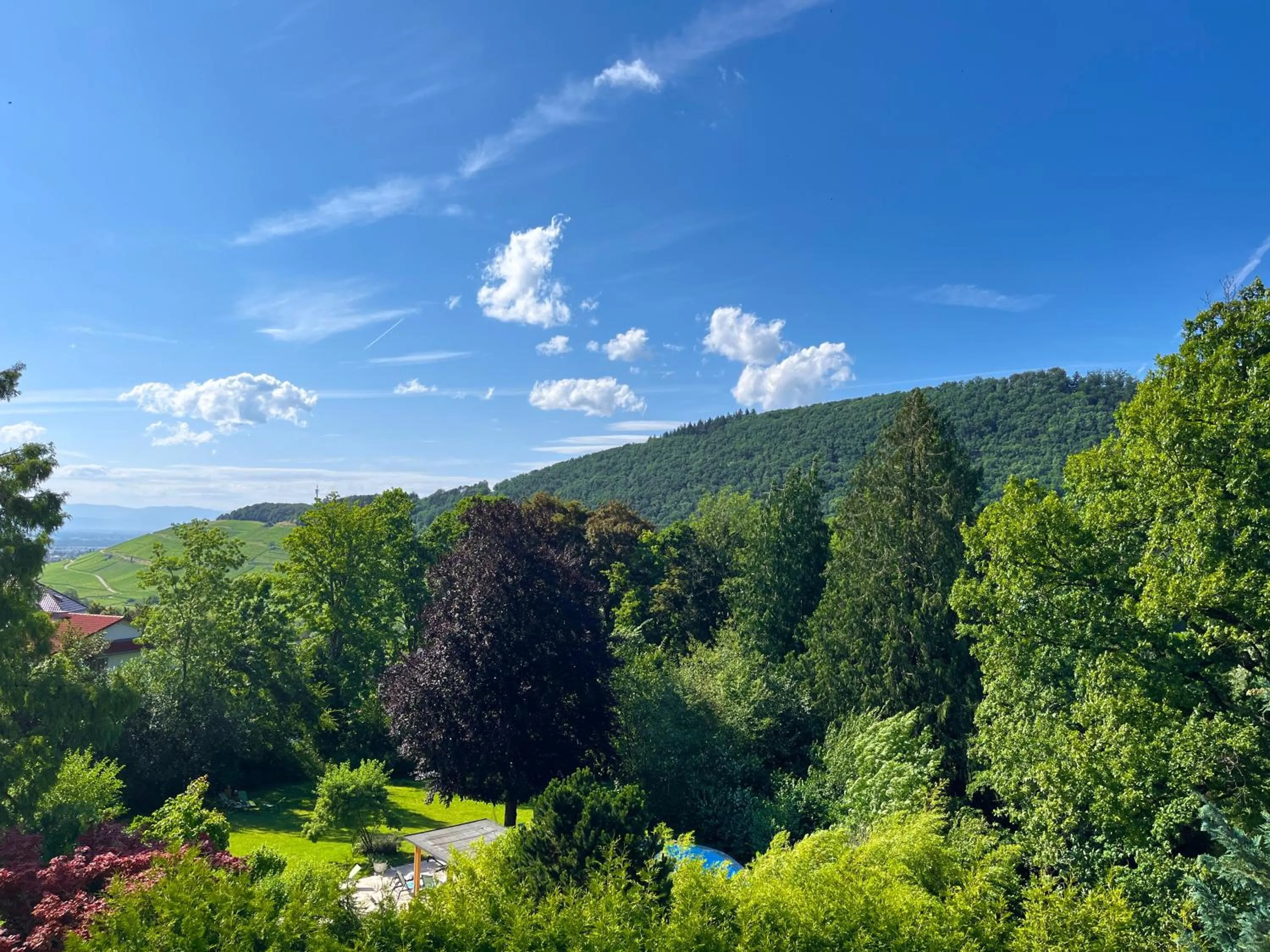 Property building in Park Hotel & Spa Katharina