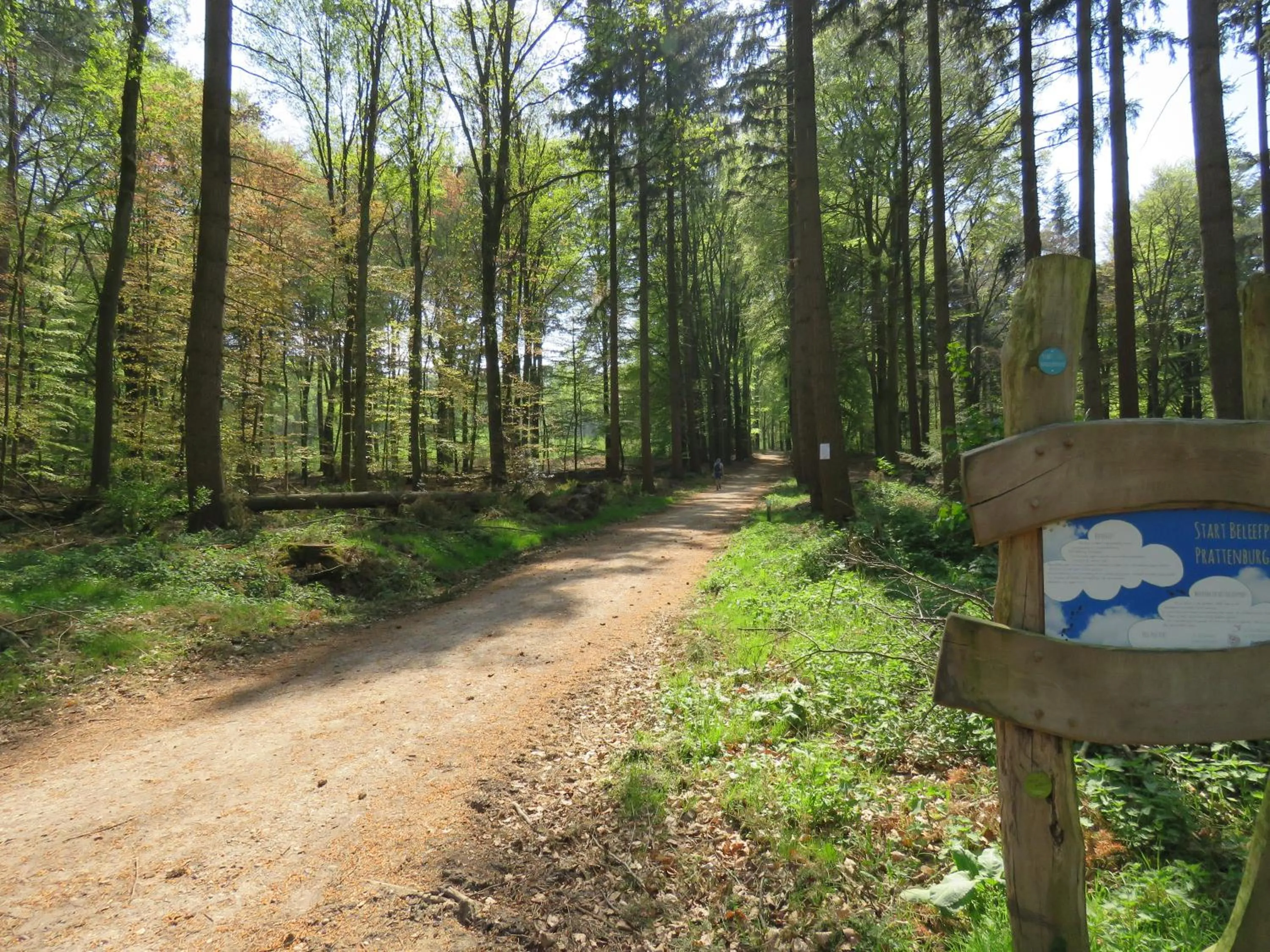 Natural landscape in Teska Bed & Breakfast