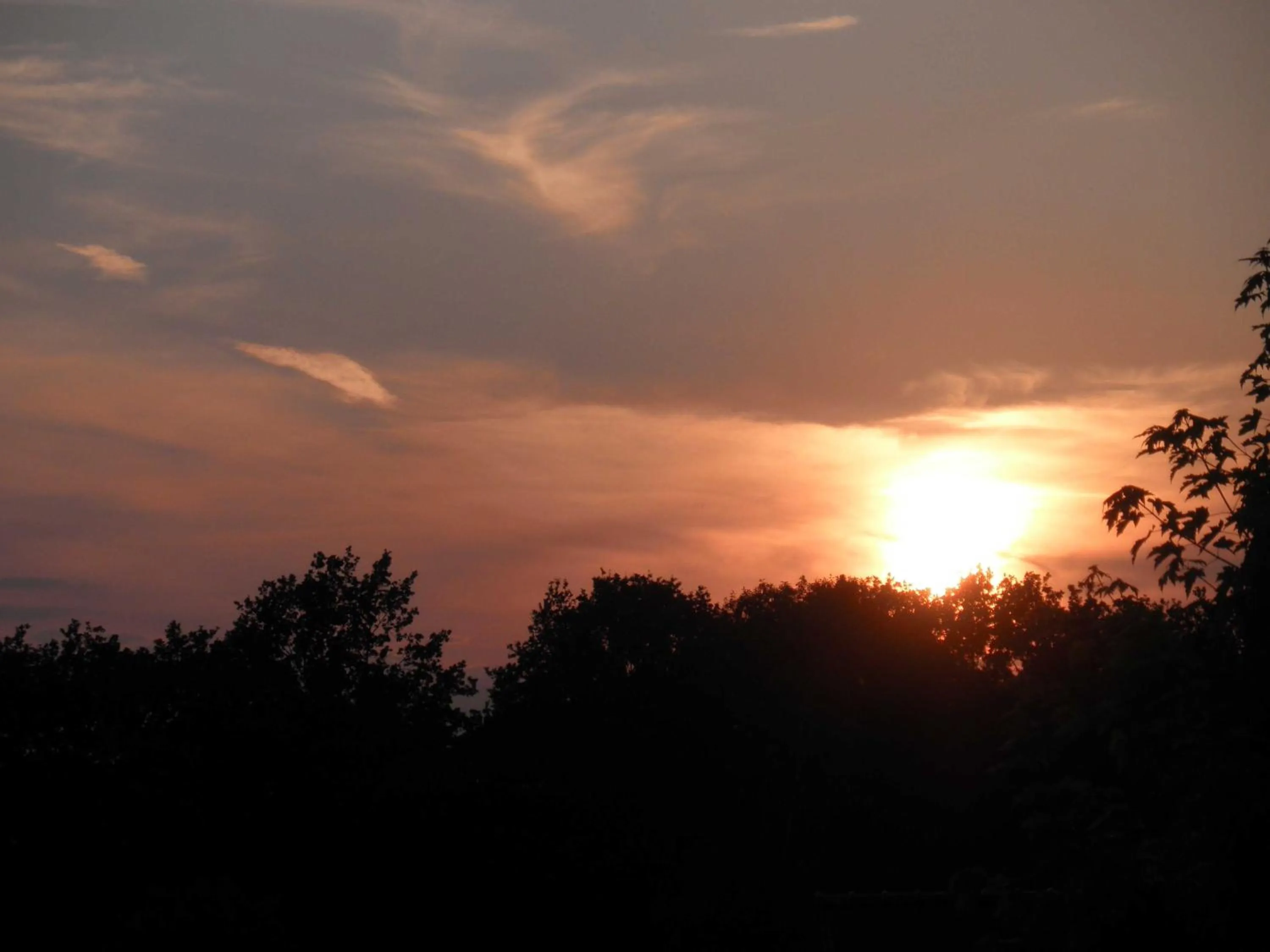 View (from property/room) in Teska Bed & Breakfast