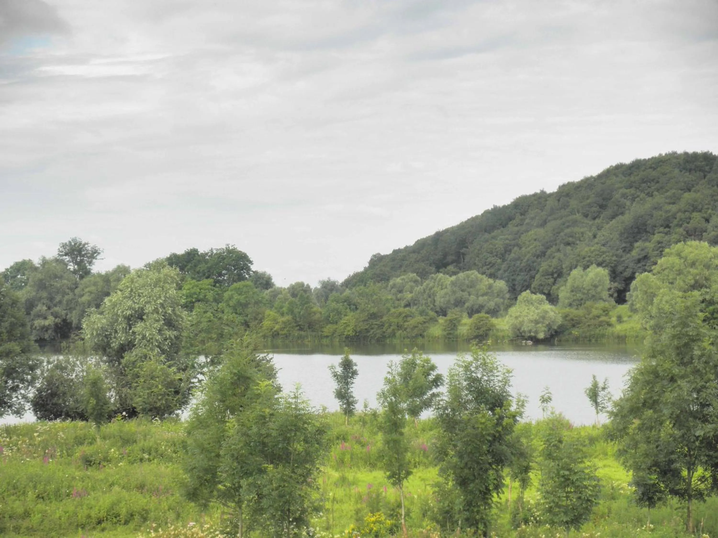 Natural landscape in Teska Bed & Breakfast