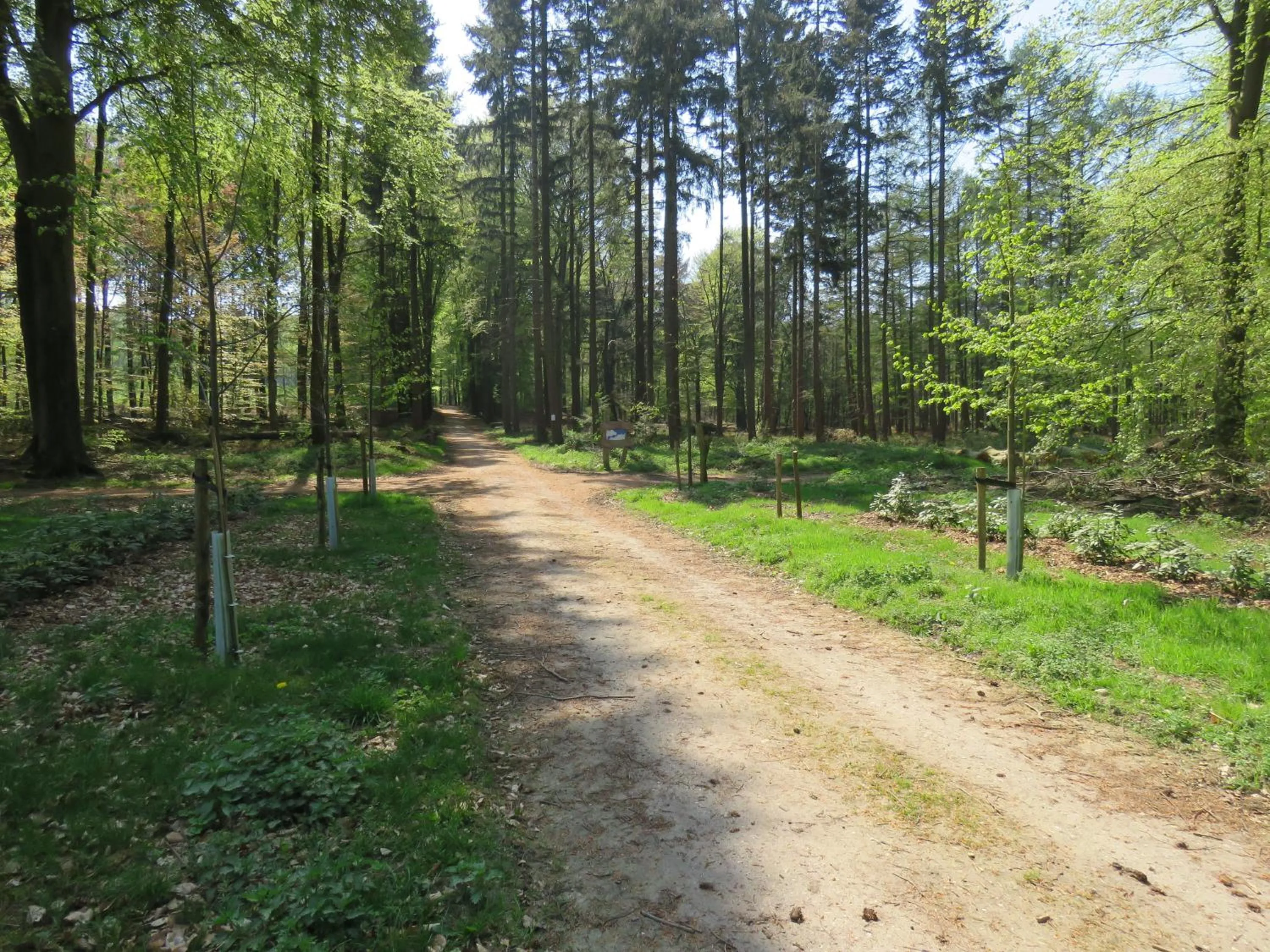 Natural landscape in Teska Bed & Breakfast