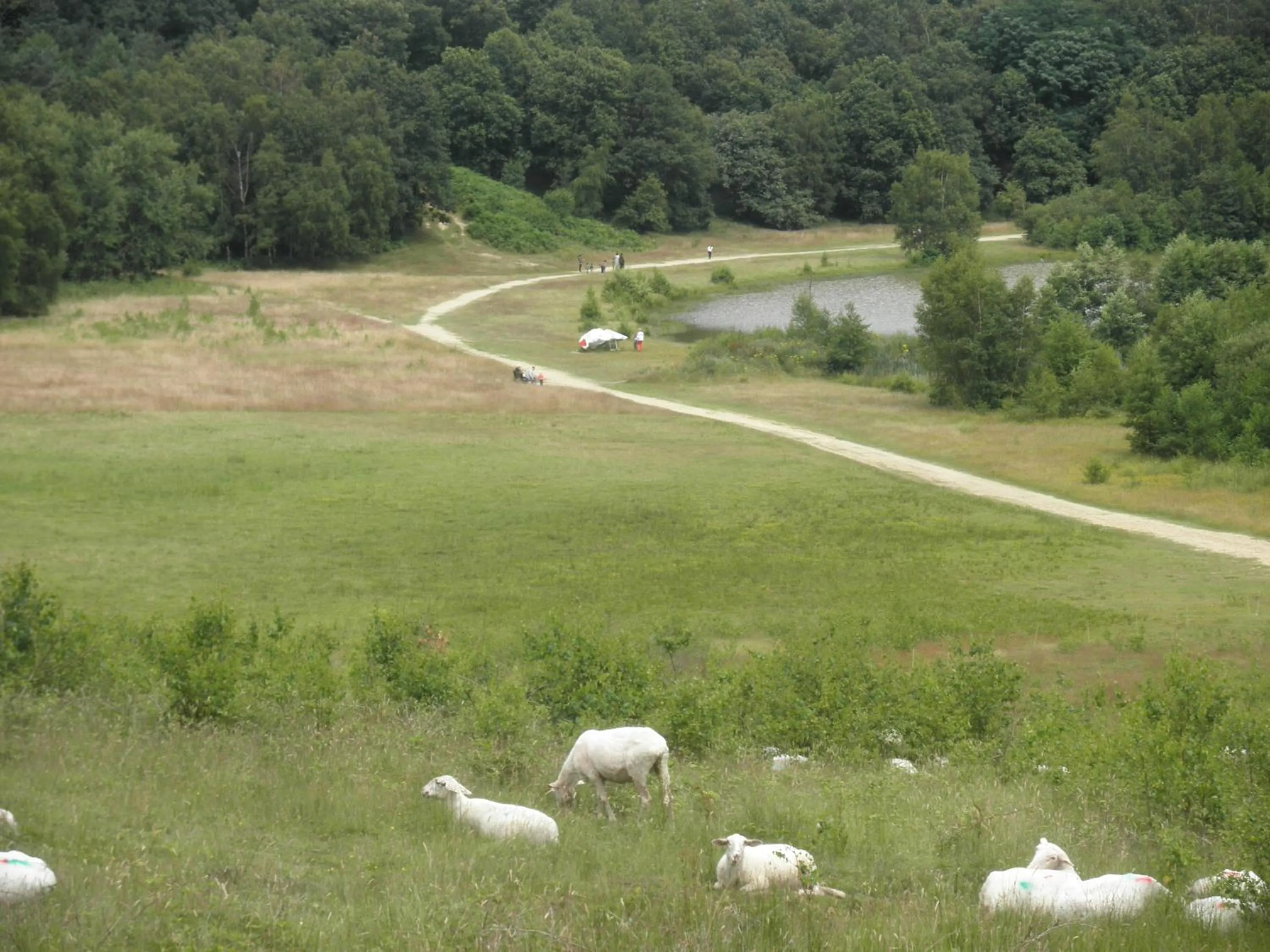 Nearby landmark in Teska Bed & Breakfast