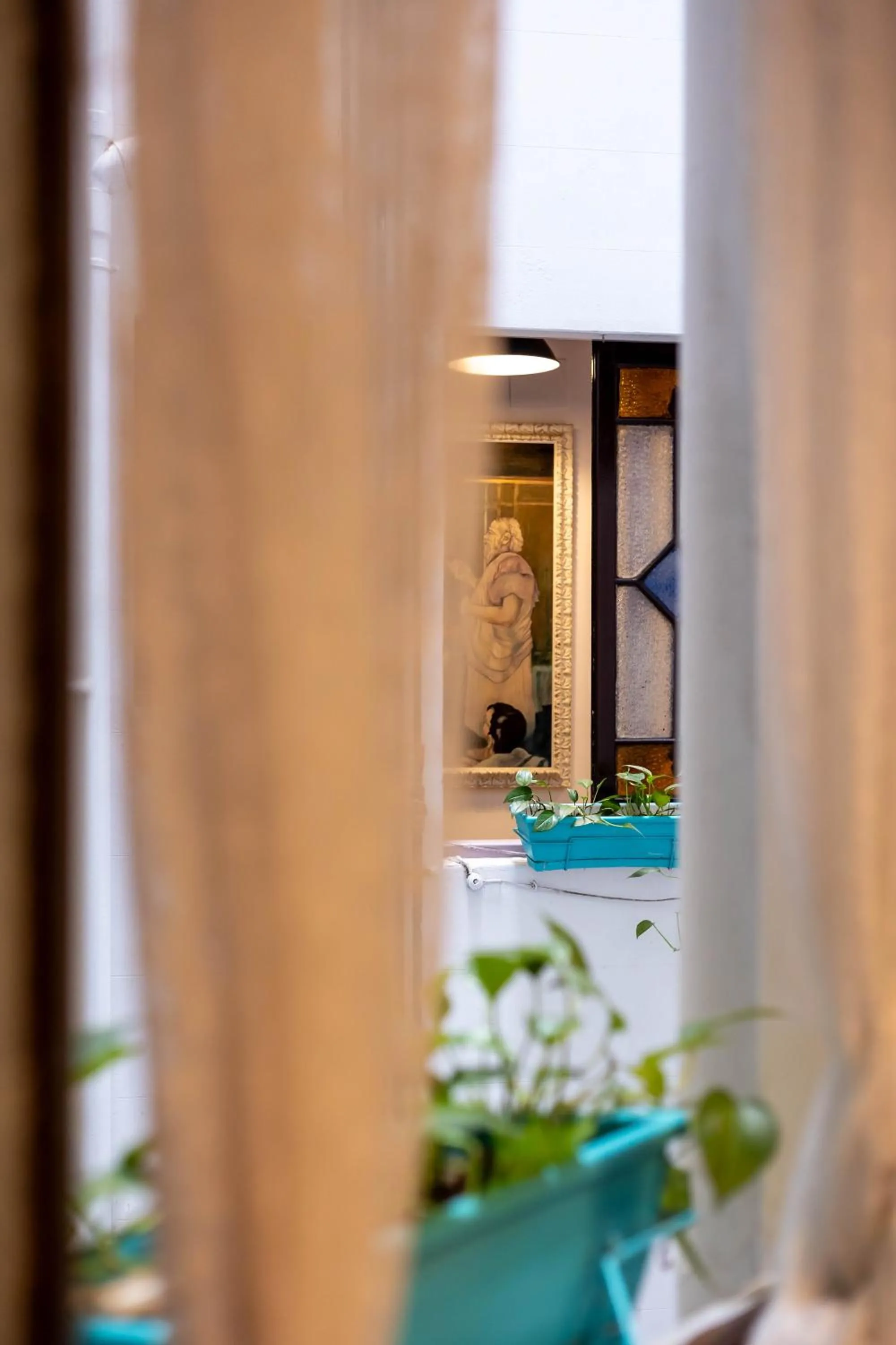 Patio in Primavera Hostel