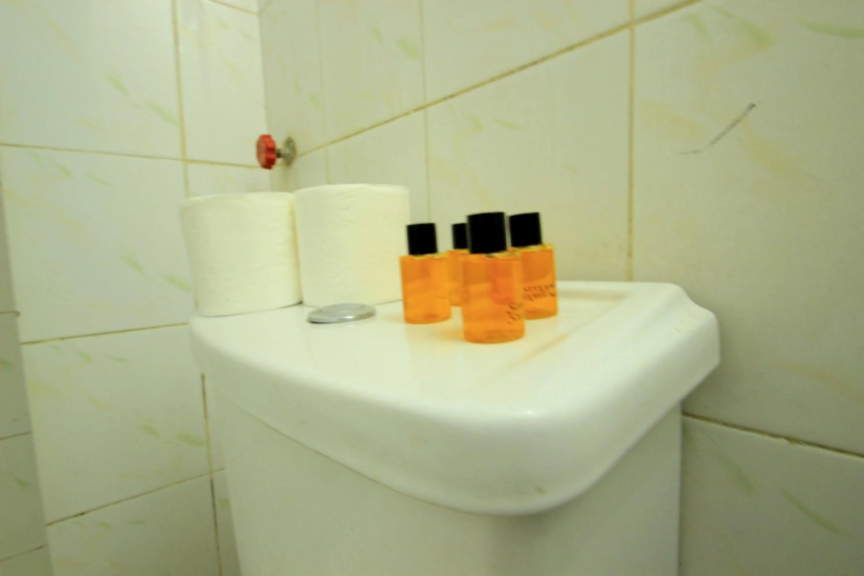 Toilet in Istanbul Metro Hotel