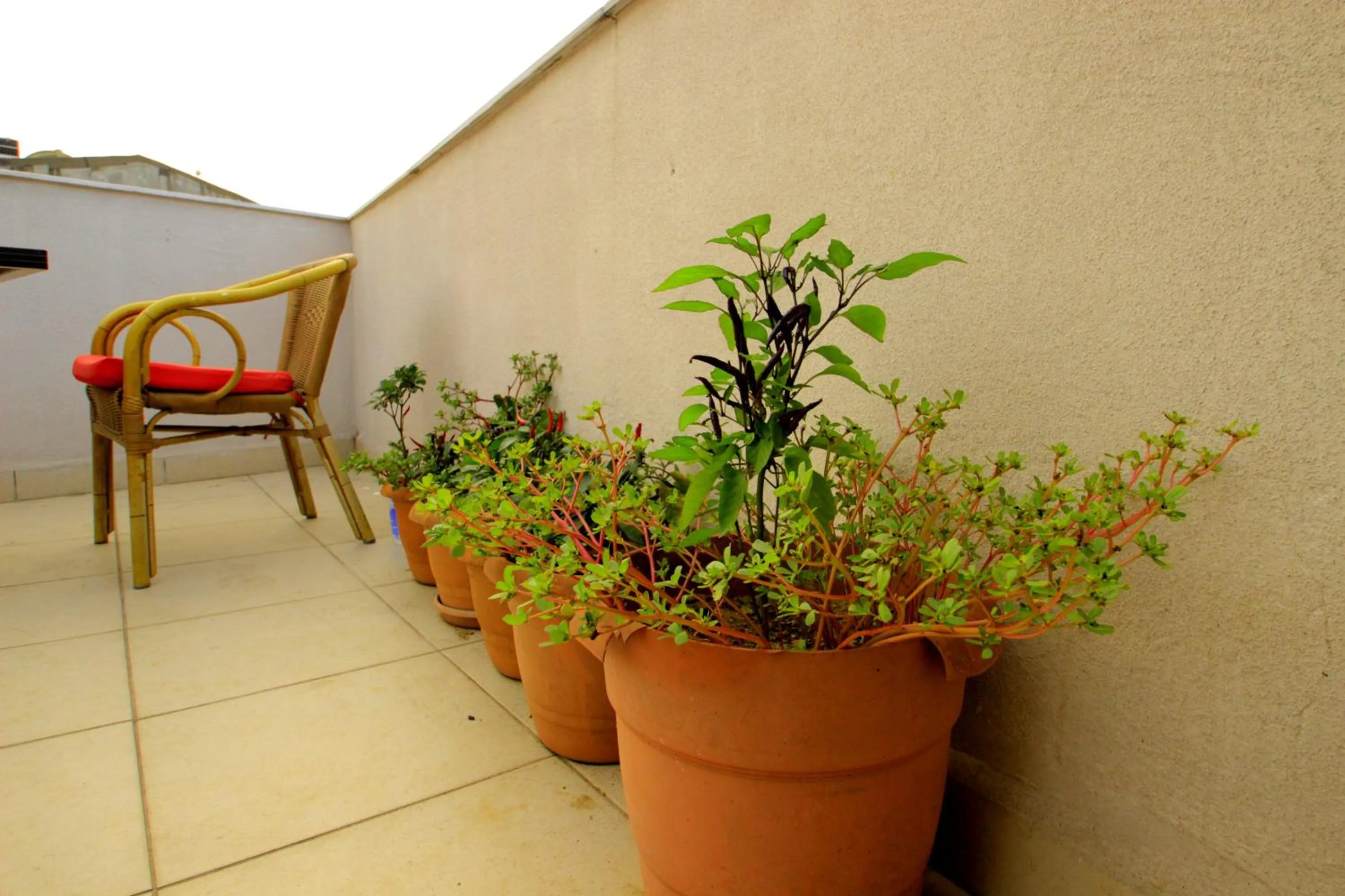 Patio in Istanbul Metro Hotel