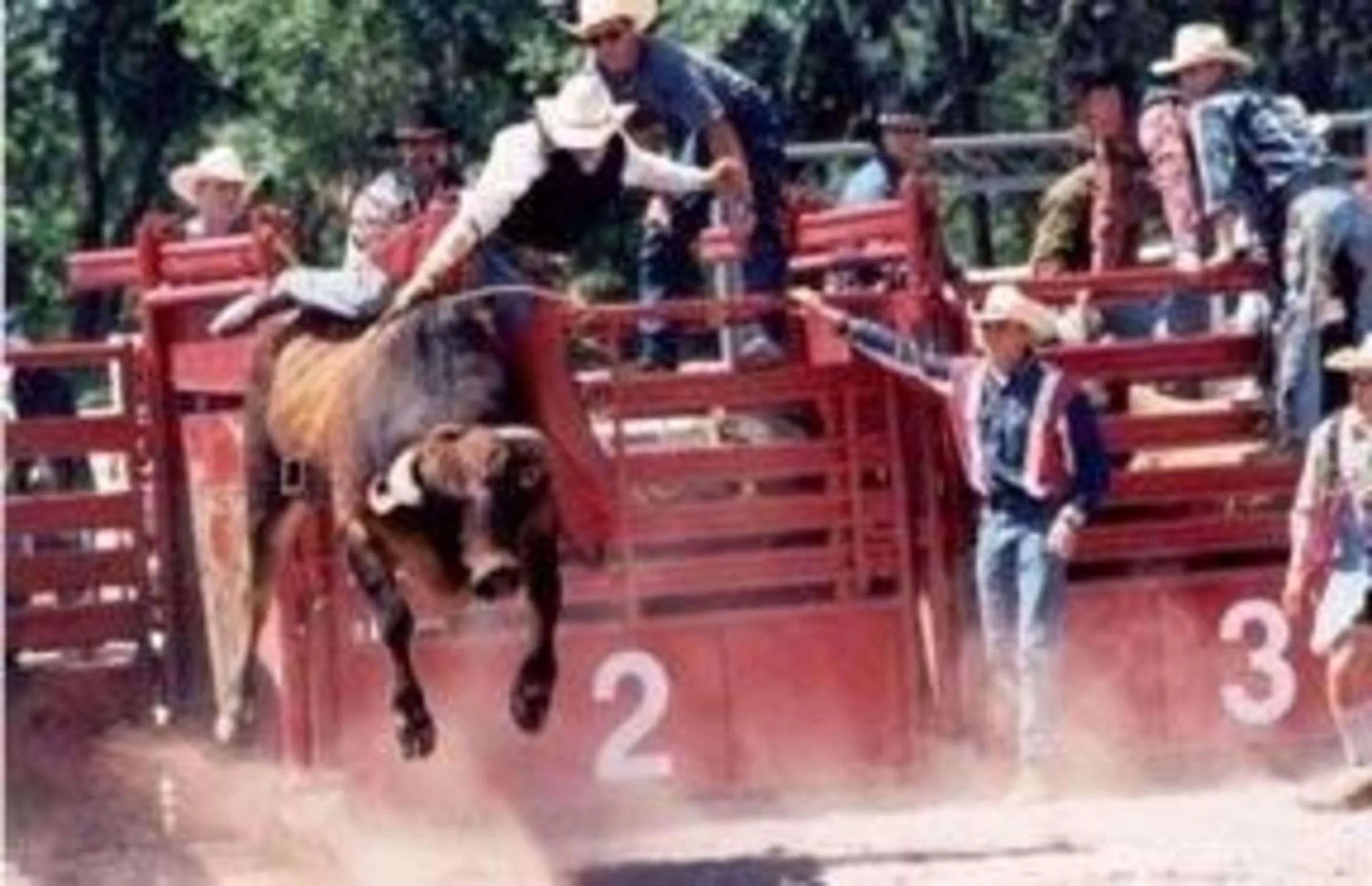 Off site, Other Activities in Quality Inn & Suites