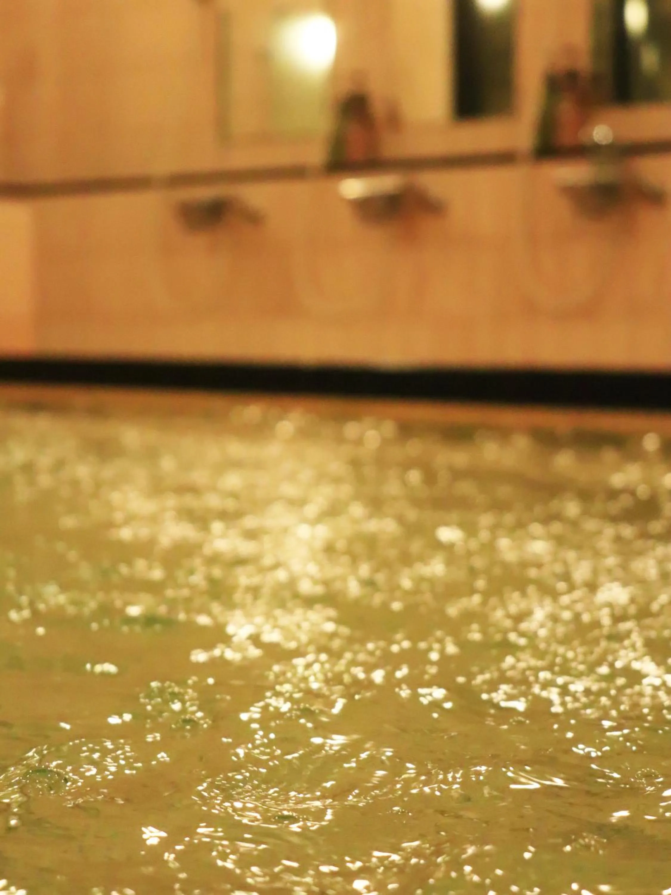 Public Bath in Izumiya Ryokan