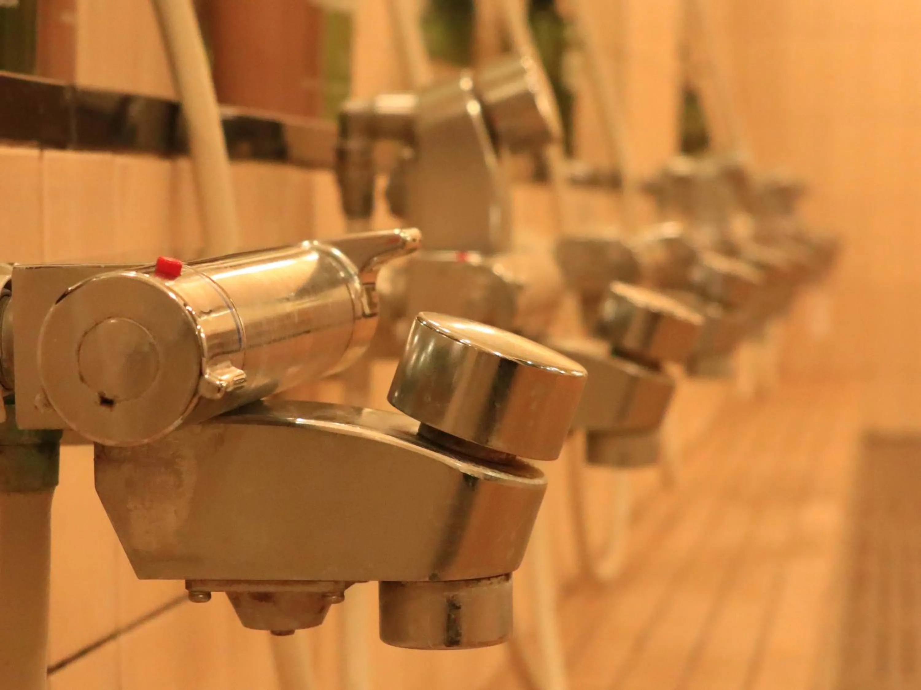 Public Bath in Izumiya Ryokan