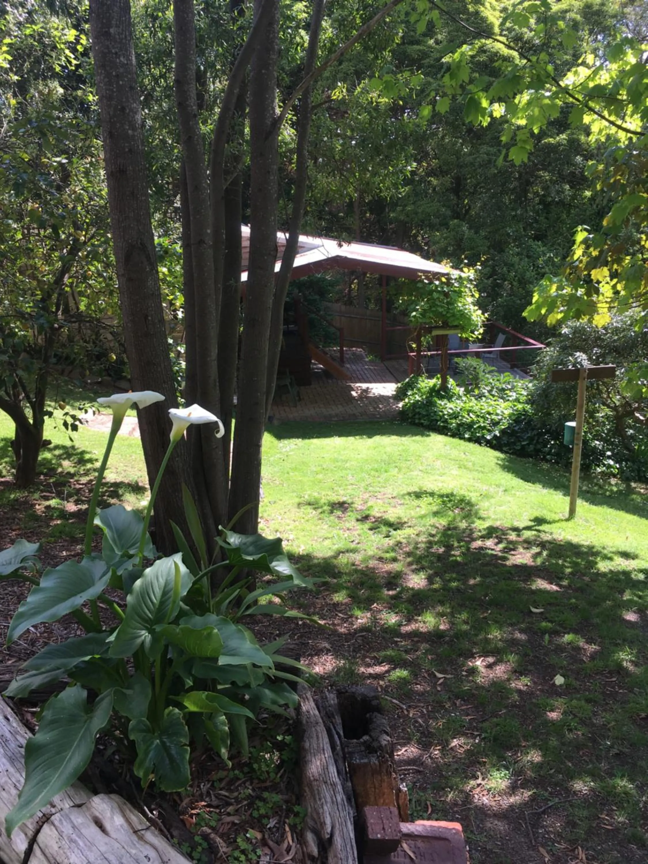 Garden in Stone's Throw Cottage Bed and Breakfast