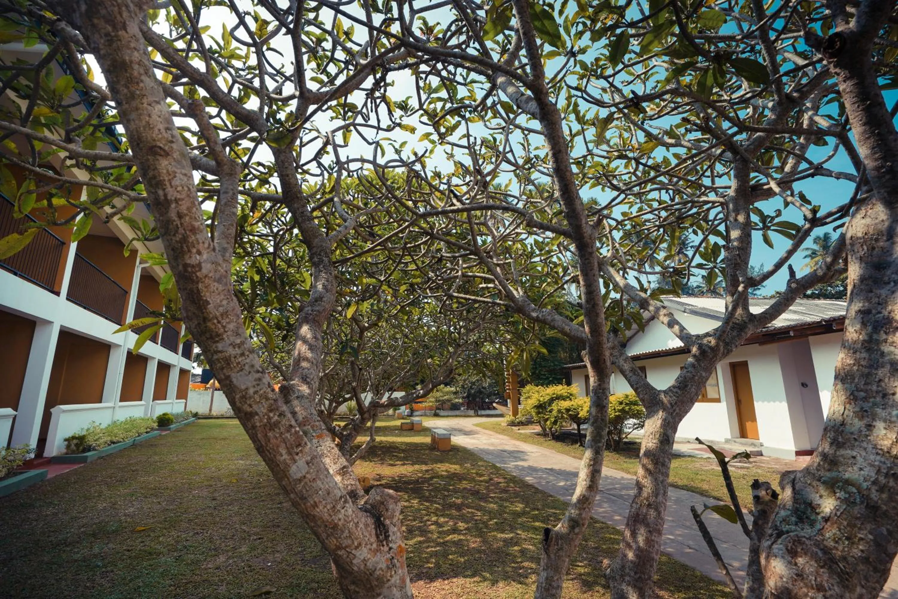 Garden in Reef Garden Hotel
