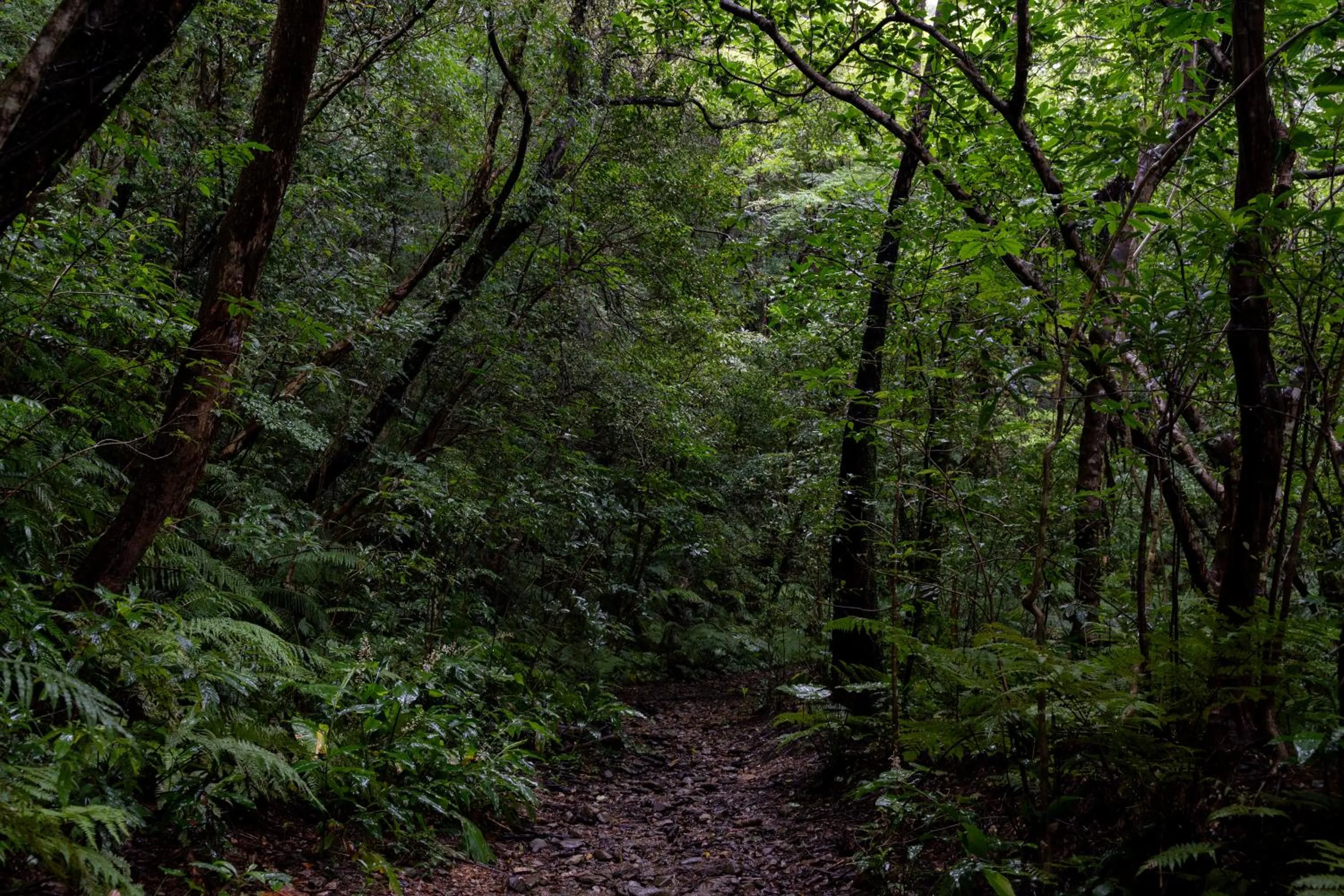 Natural landscape in Ada Garden Hotel Okinawa