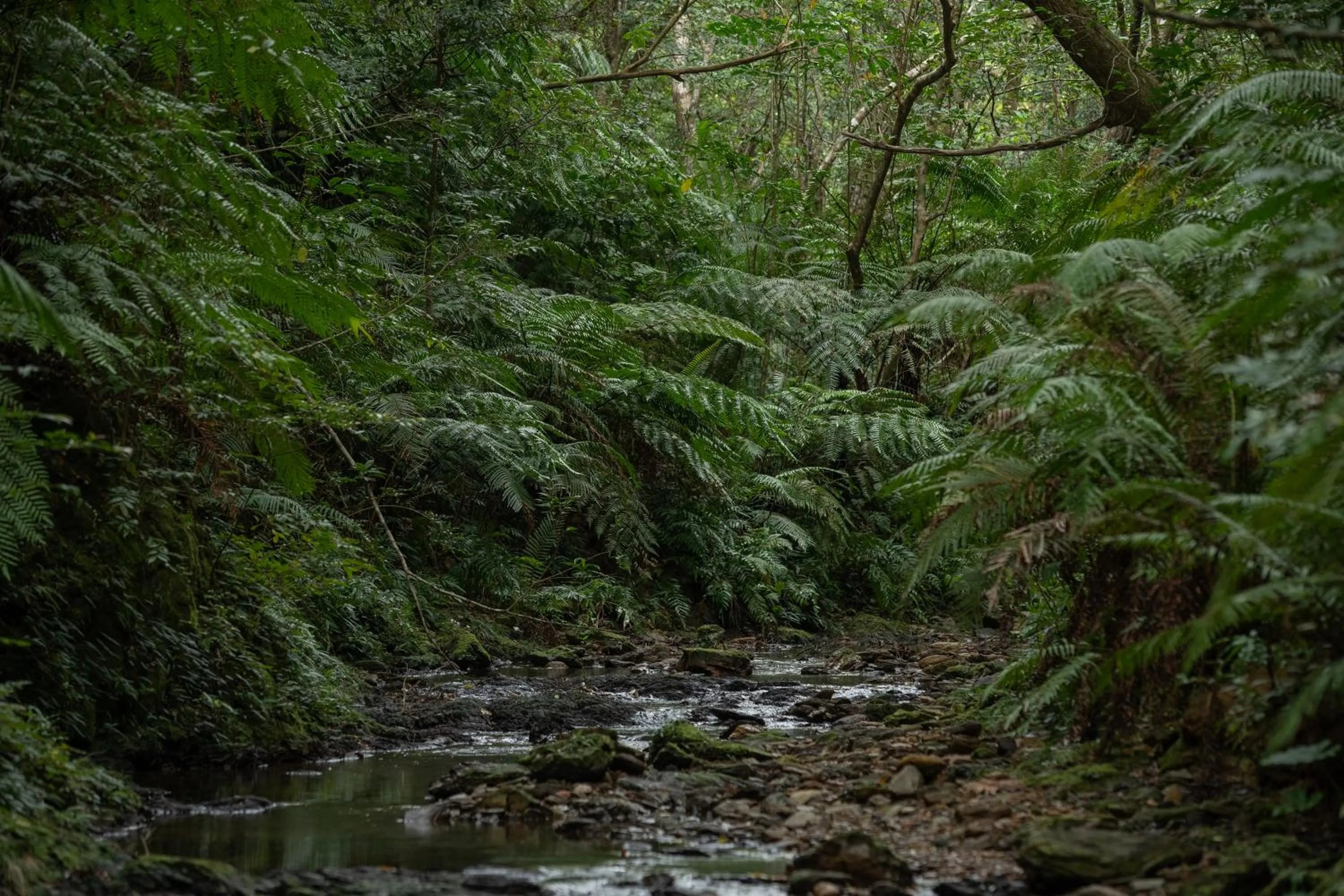 Natural landscape in Ada Garden Hotel Okinawa