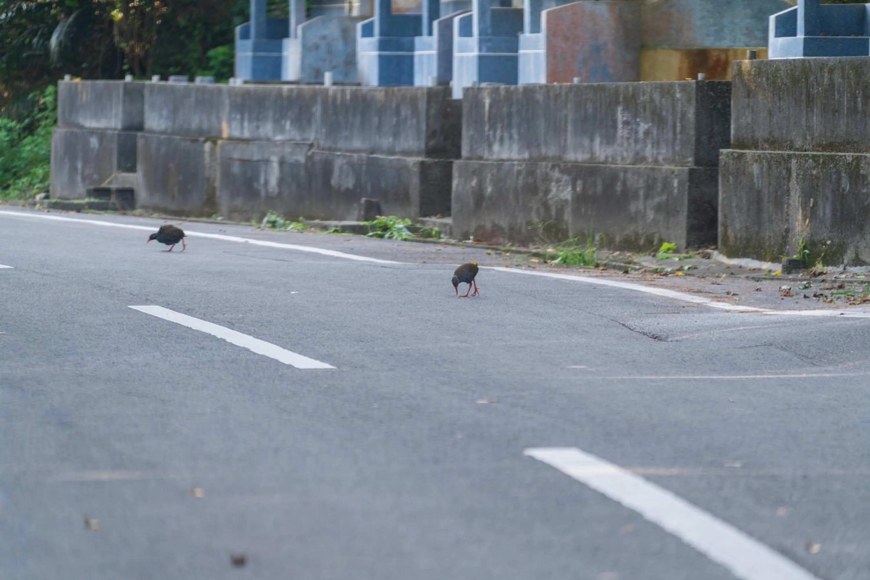Natural landscape in Ada Garden Hotel Okinawa