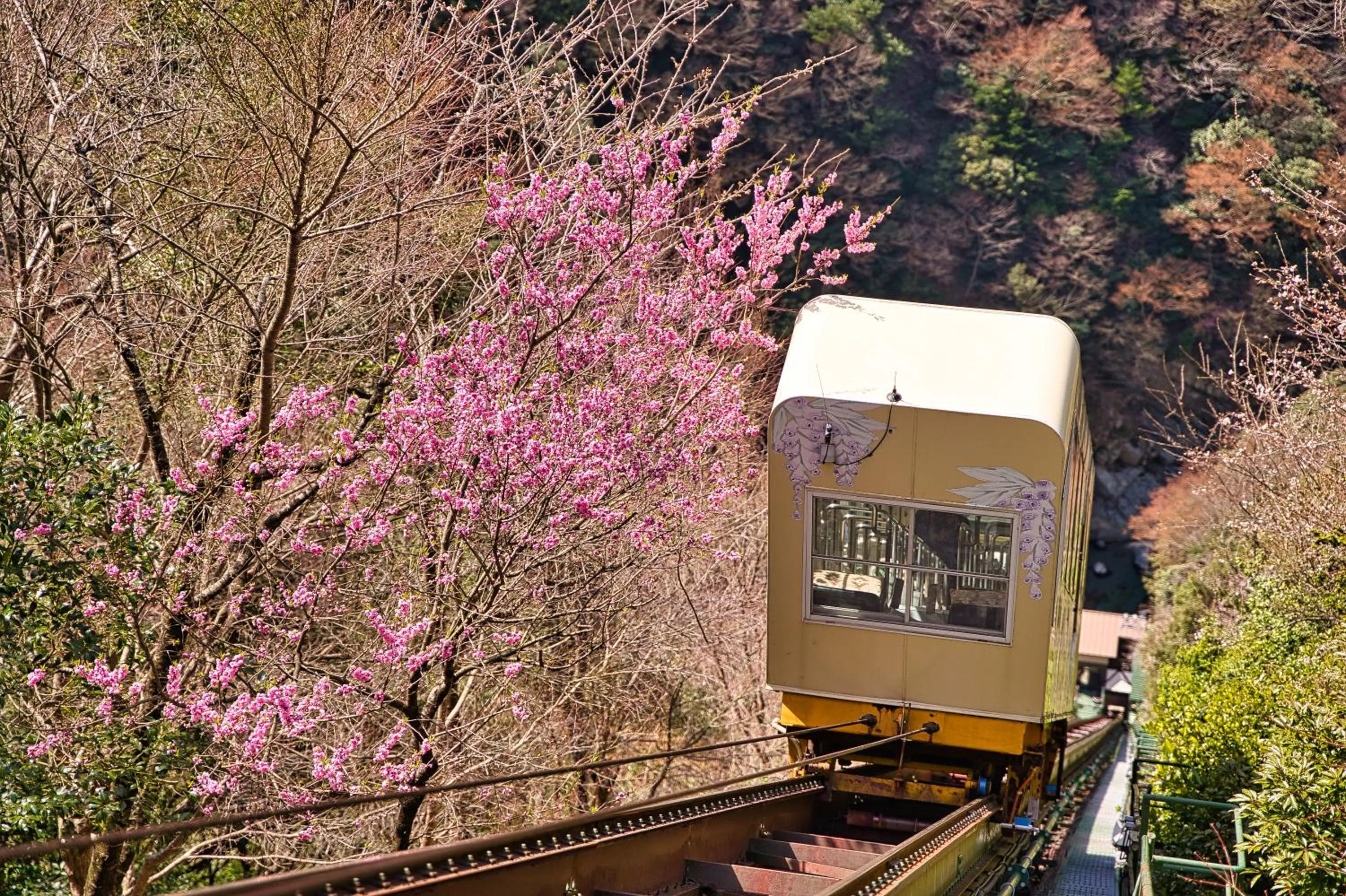 View (from property/room) in Iya Onsen