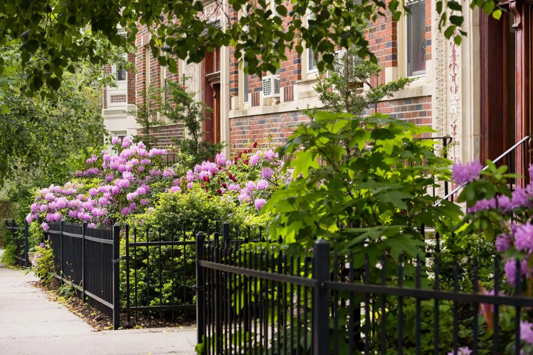 Spring in The Arcadian