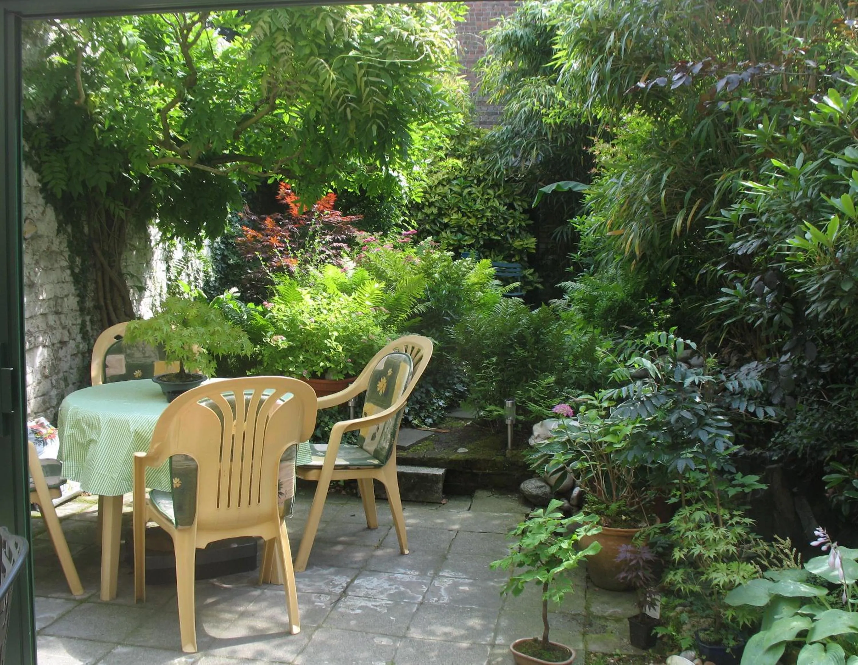 Garden in B&B Het Wit Beertje