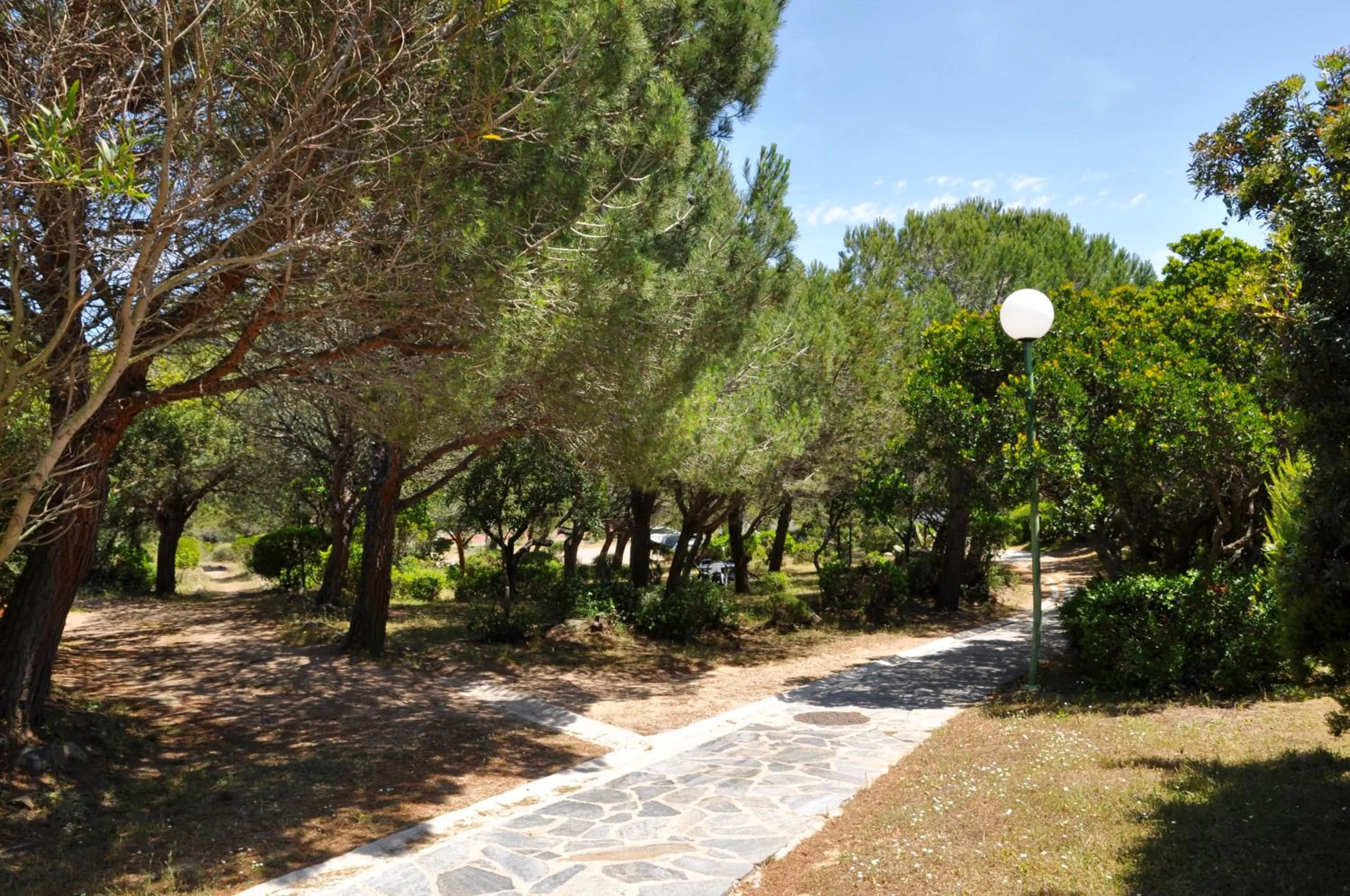 Day in Domaine Bocca di Feno