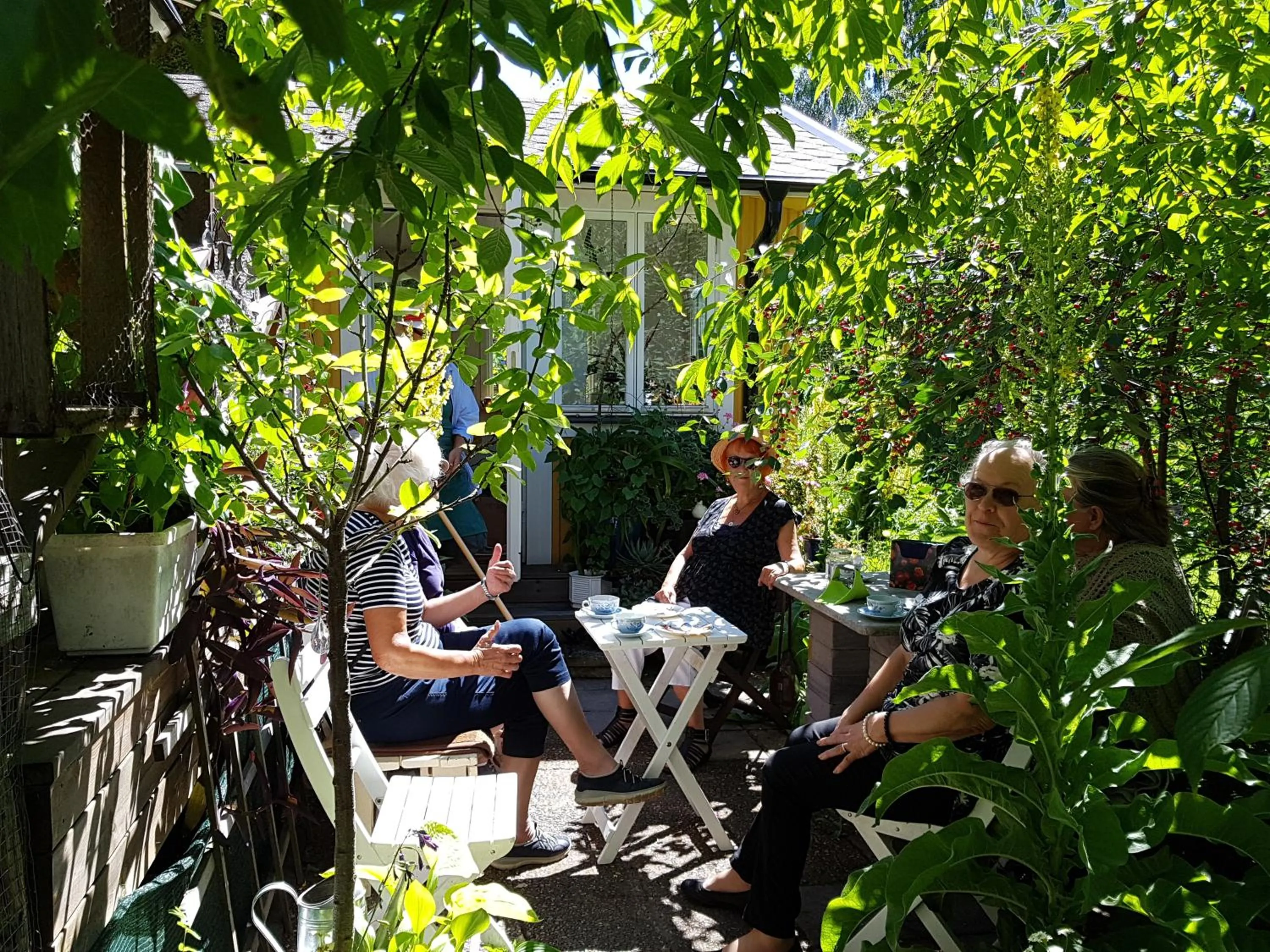 Garden view in Perenner på bakgården