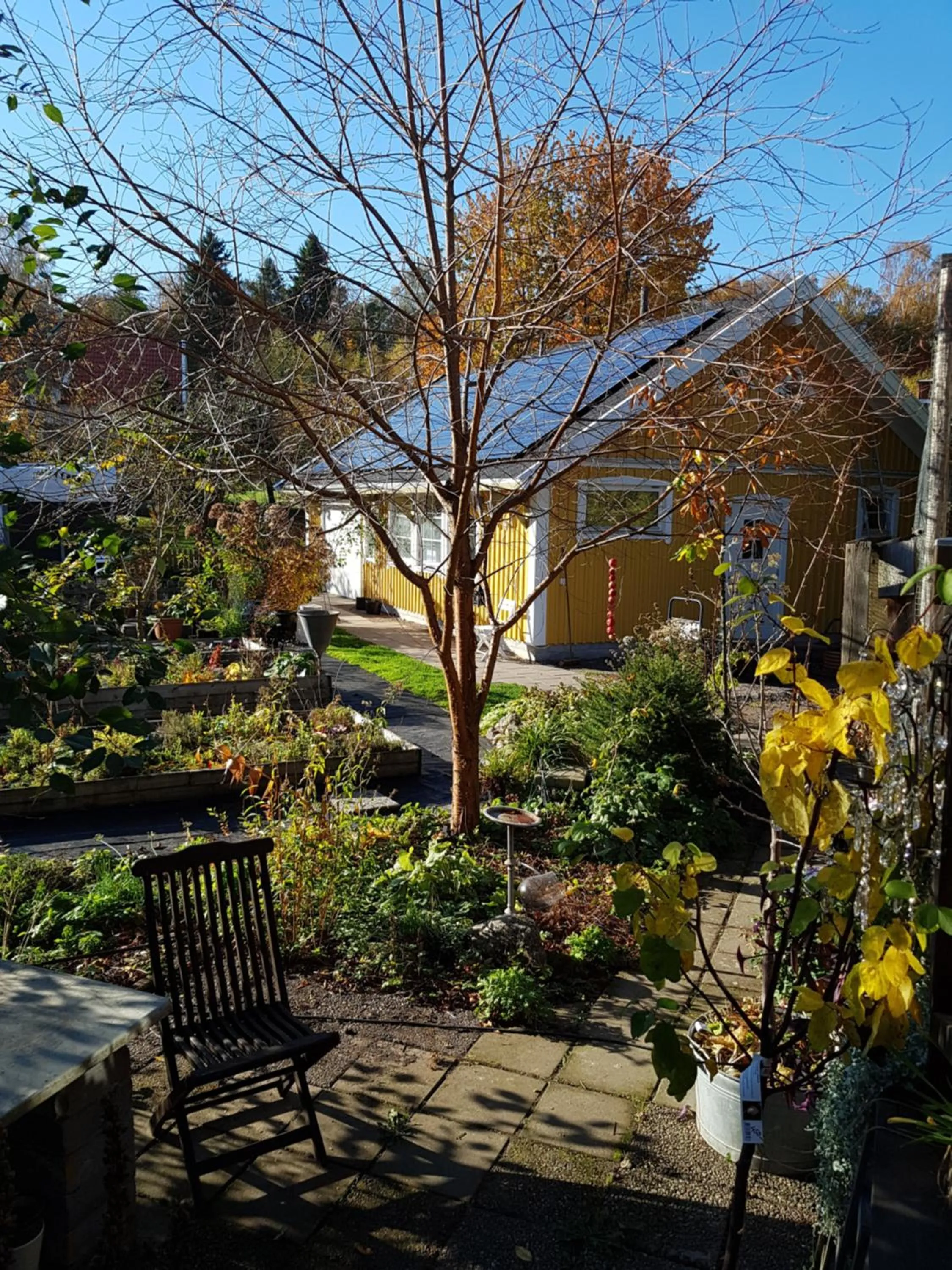 Garden in Perenner på bakgården