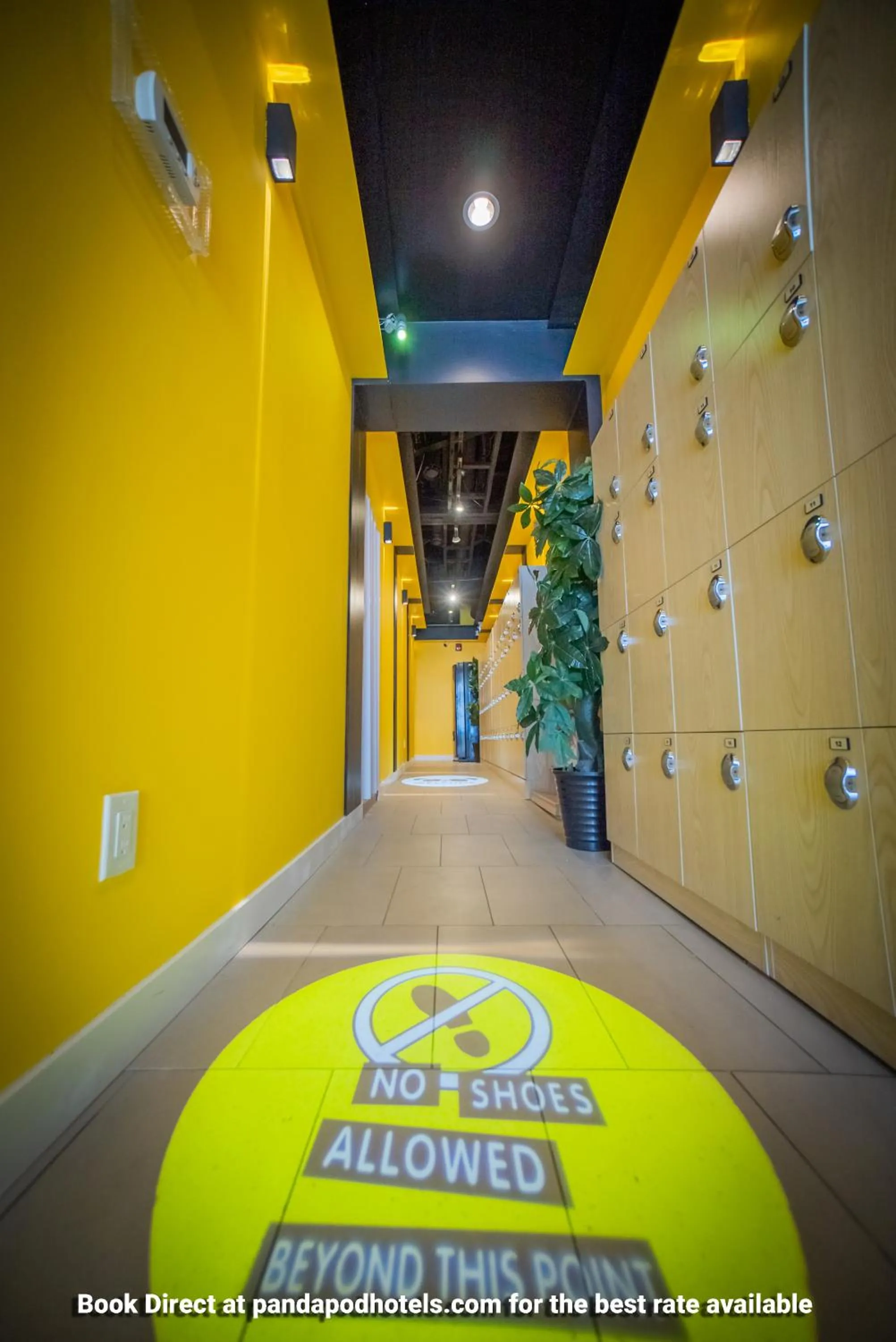 Lobby or reception in Panda Pod Hotel