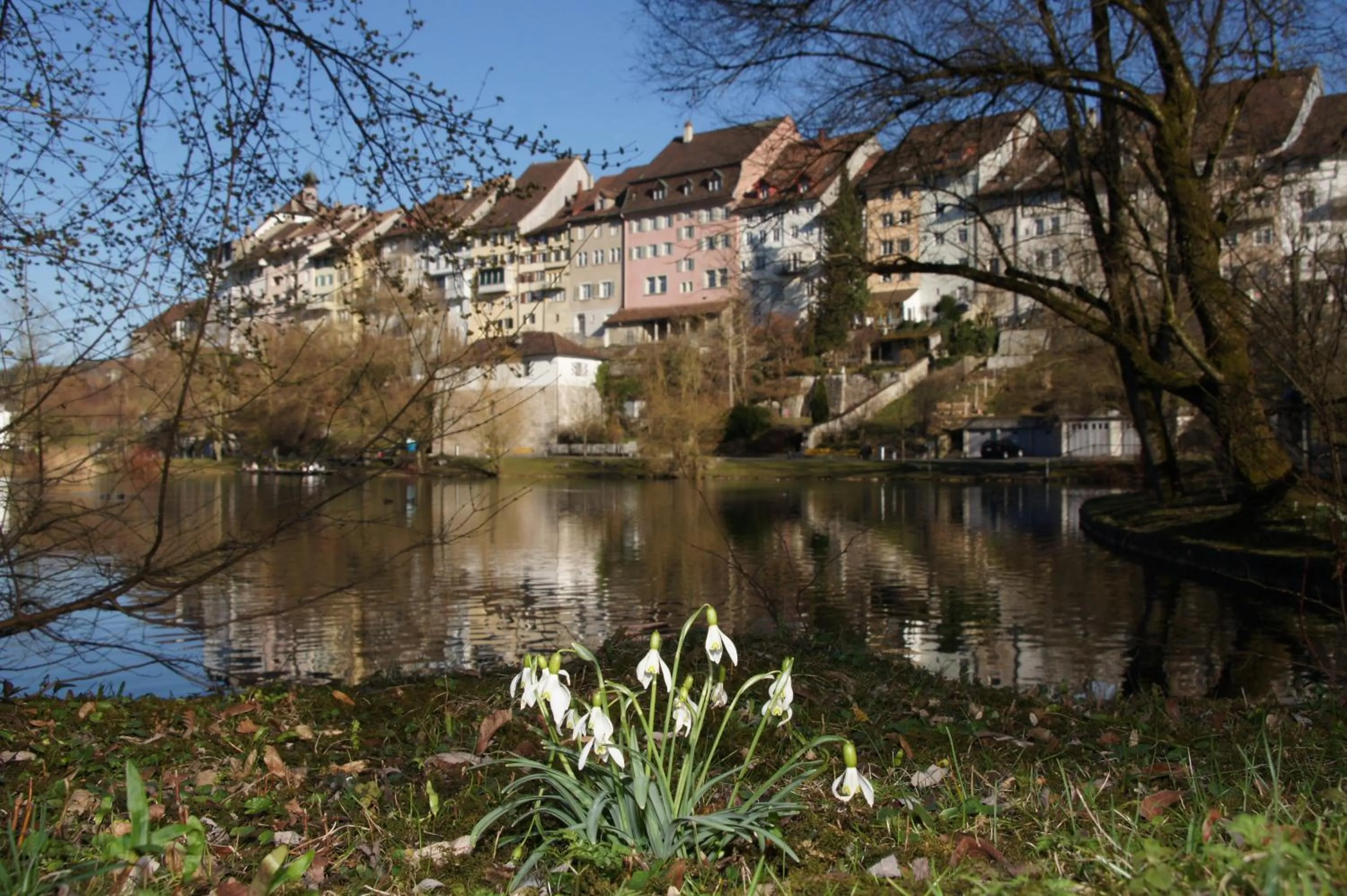 Property building in Bett am Weiher