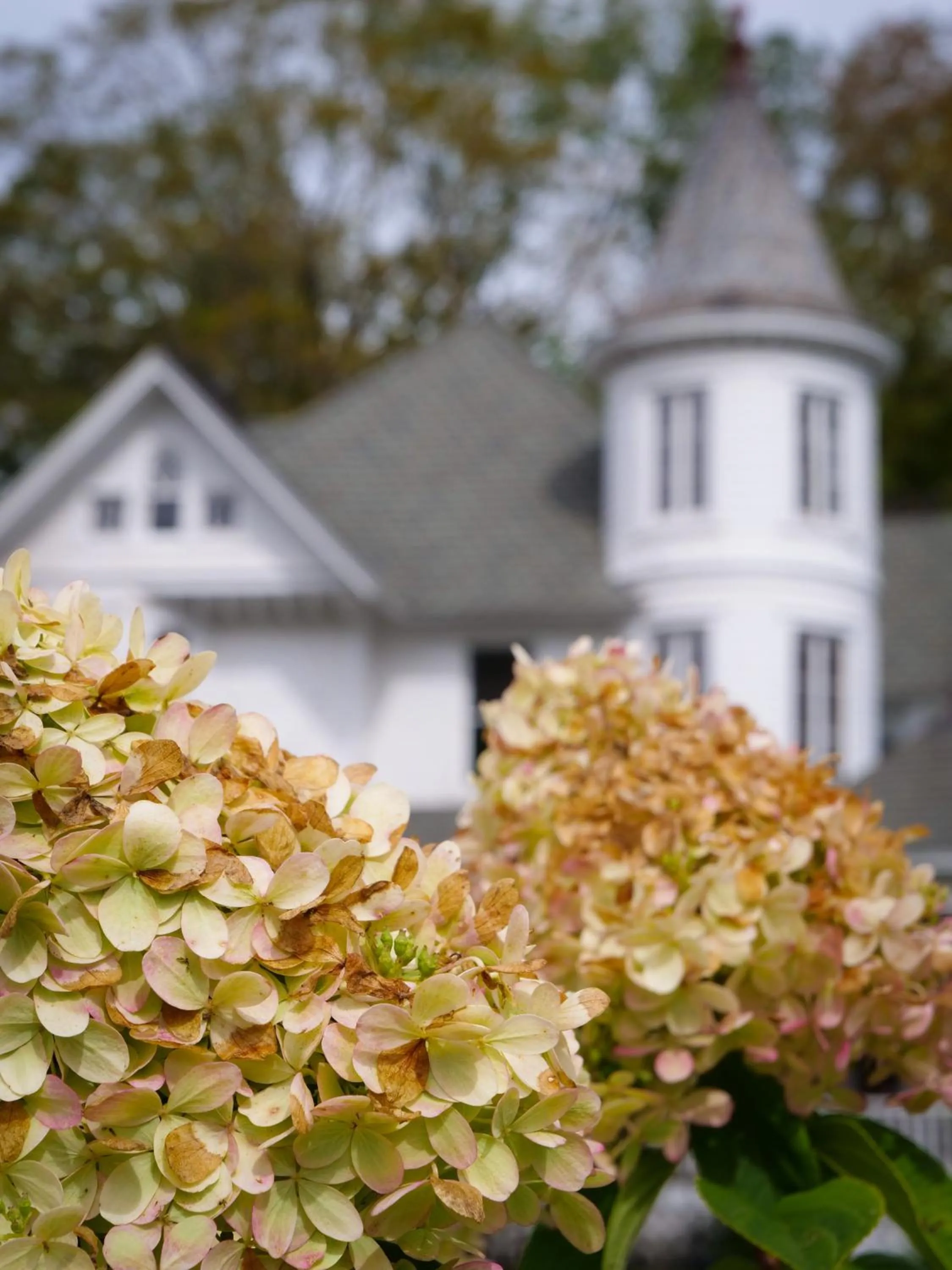 Property building in Shadowcrest