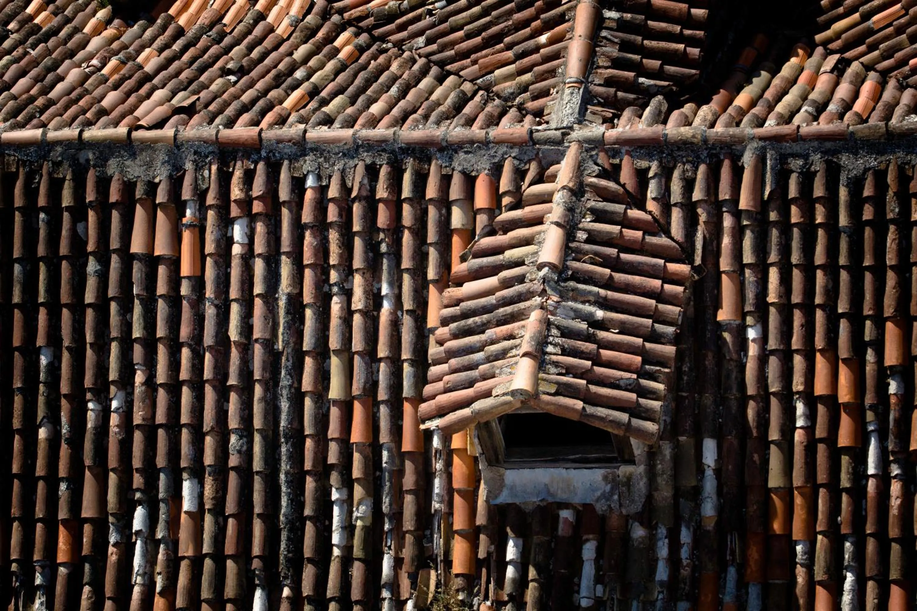 Other in Sleep Split