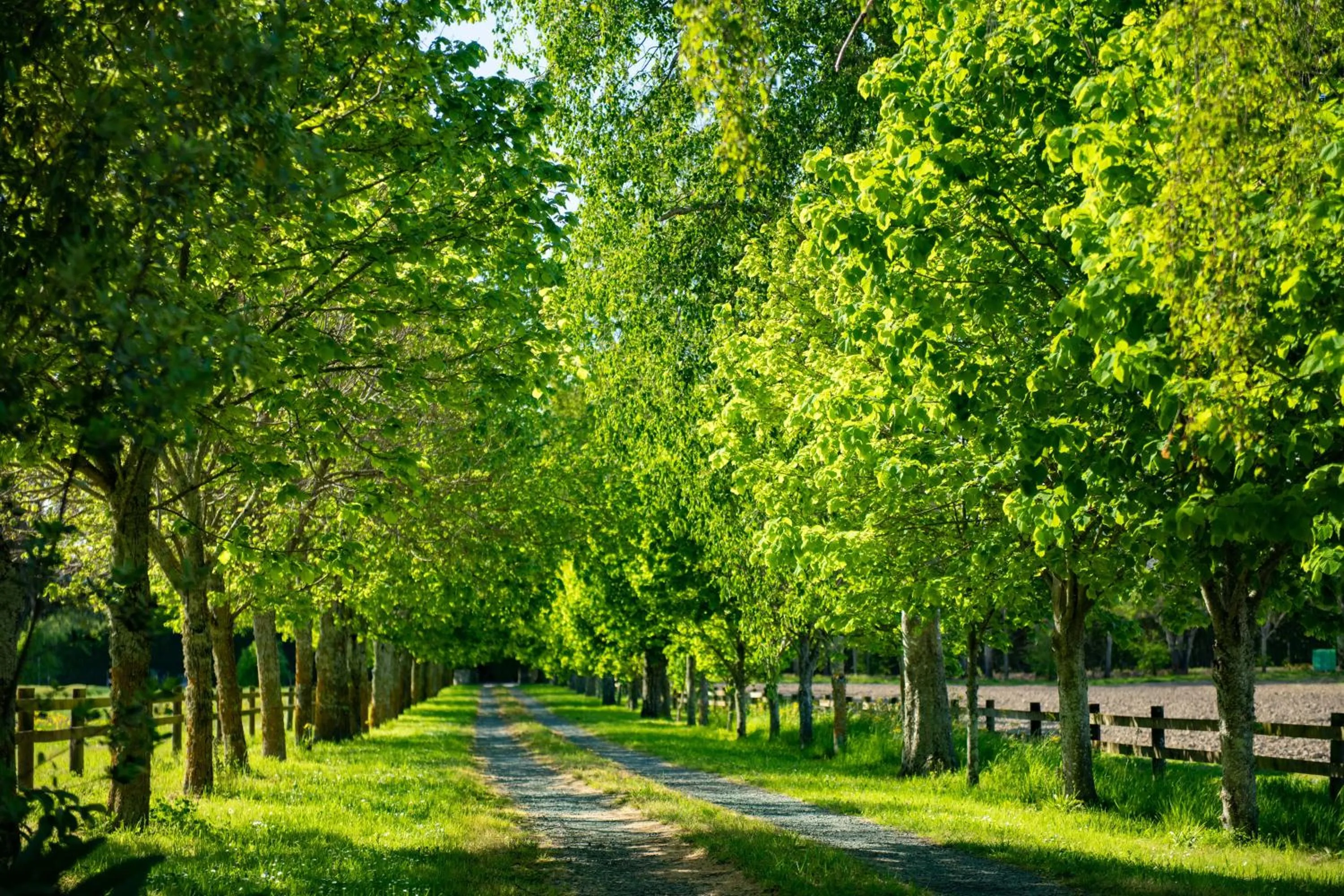 Property building in River Road Retreat