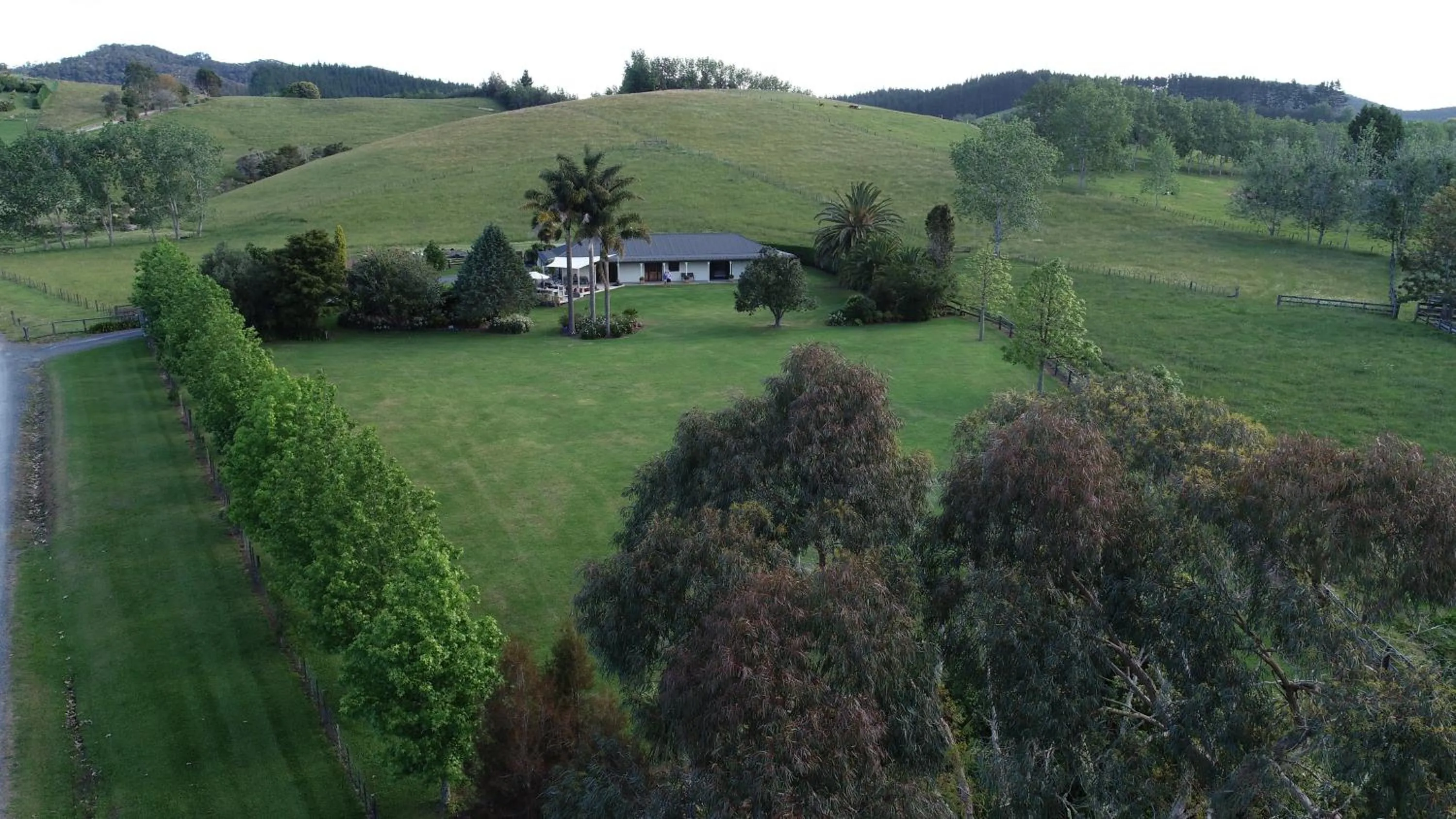 Natural landscape in Rural Palms