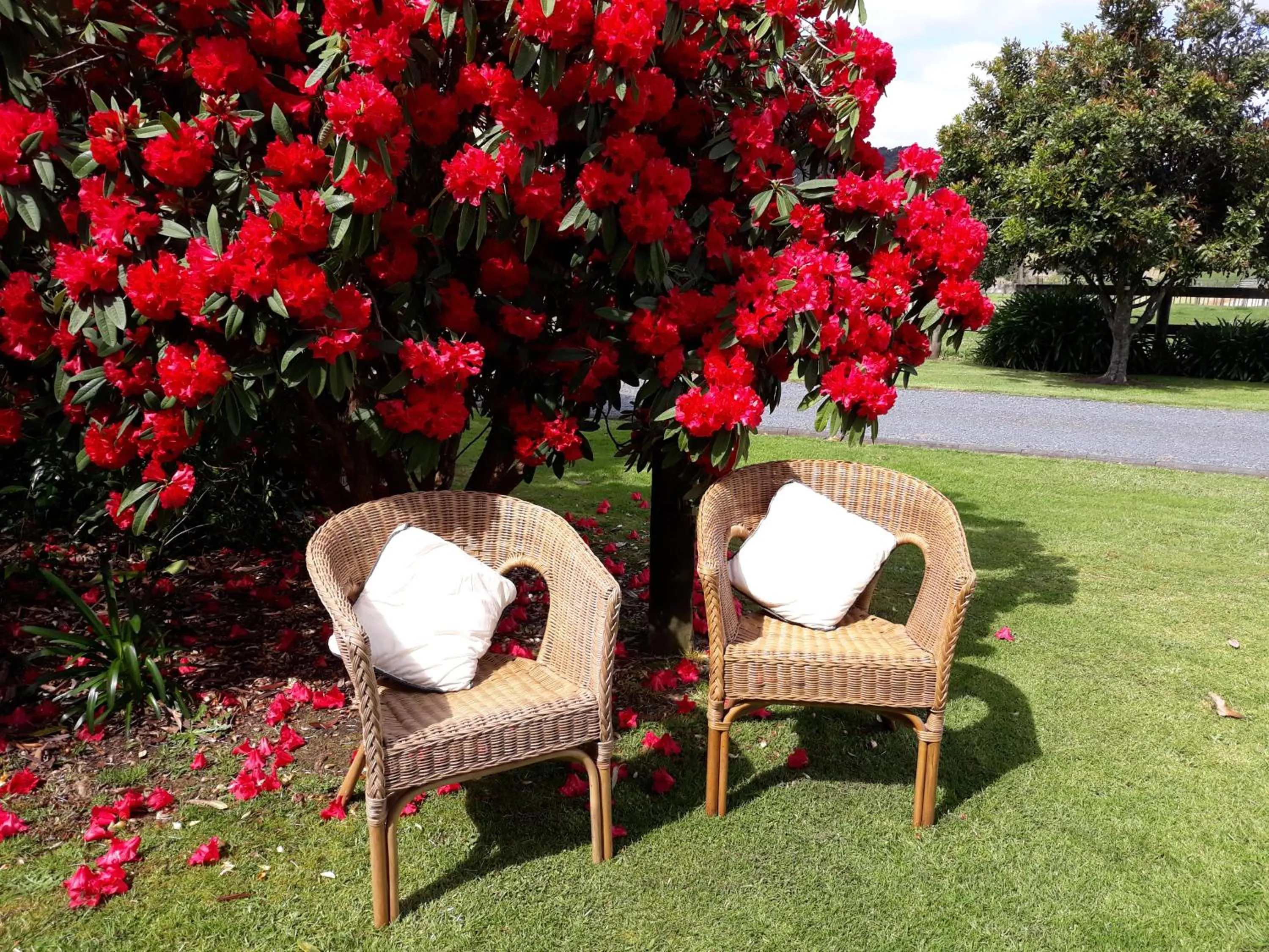 Property building in Rural Palms