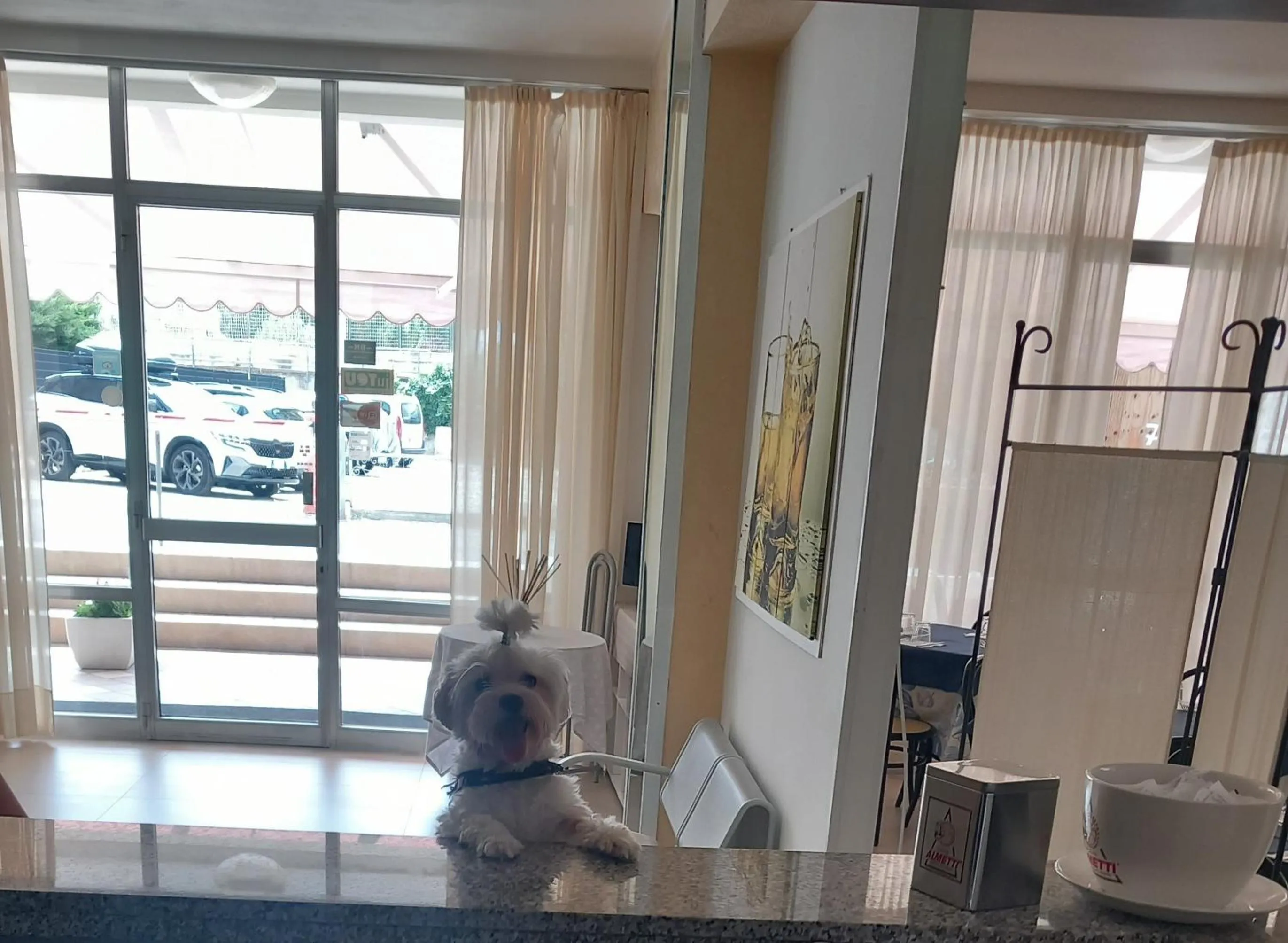 Living room in Hotel Staccoli
