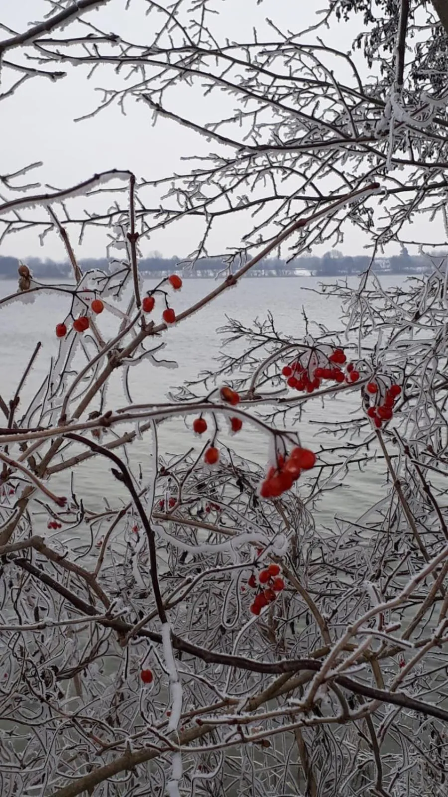 Natural landscape in Landhaus am Schaalsee