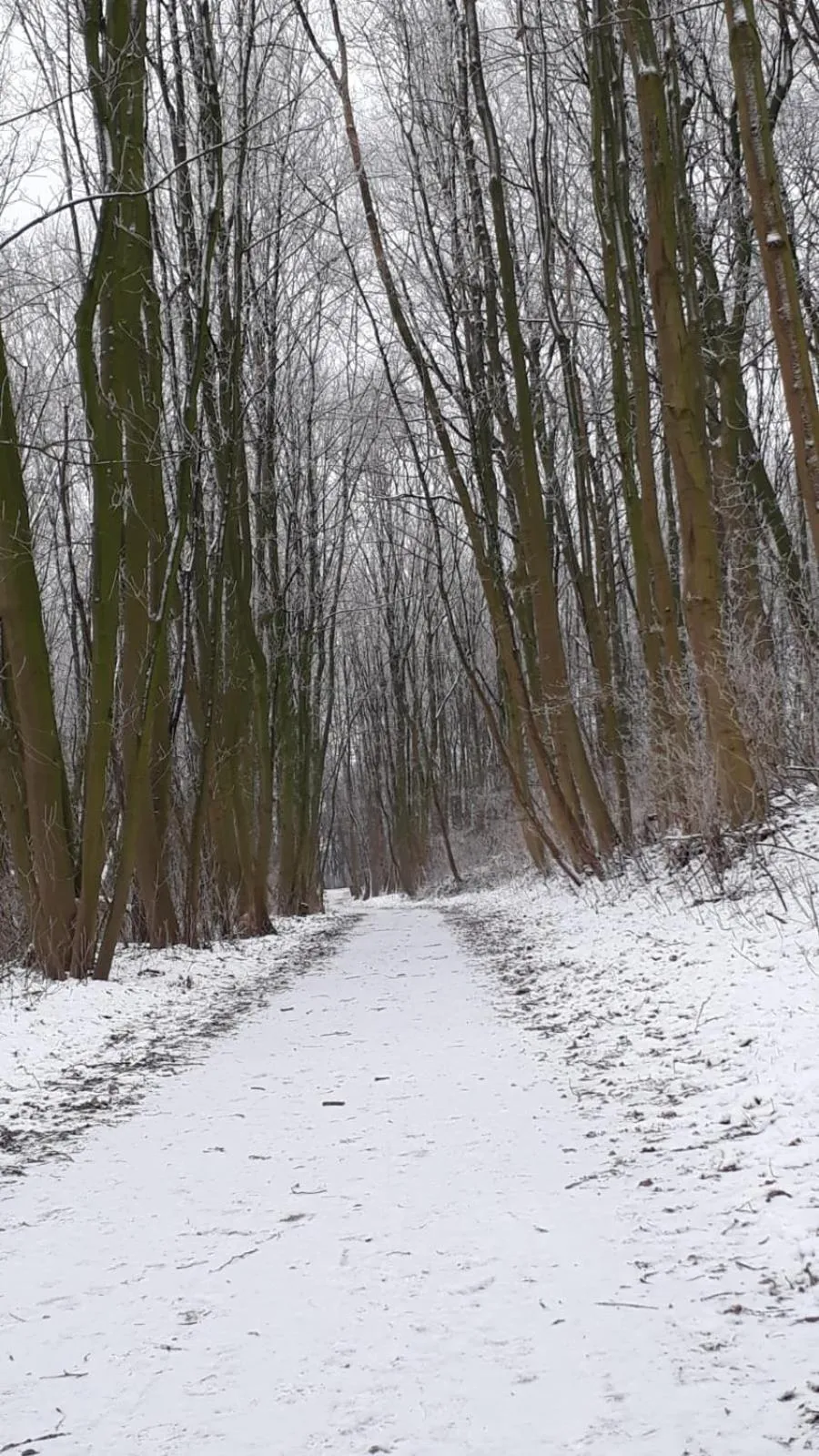 Natural landscape in Landhaus am Schaalsee