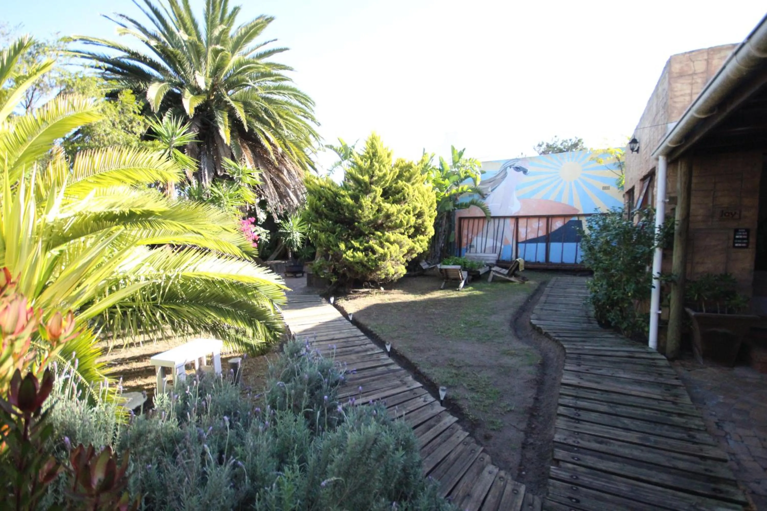 Property building in Saltycrax Backpackers and Surf Hostel