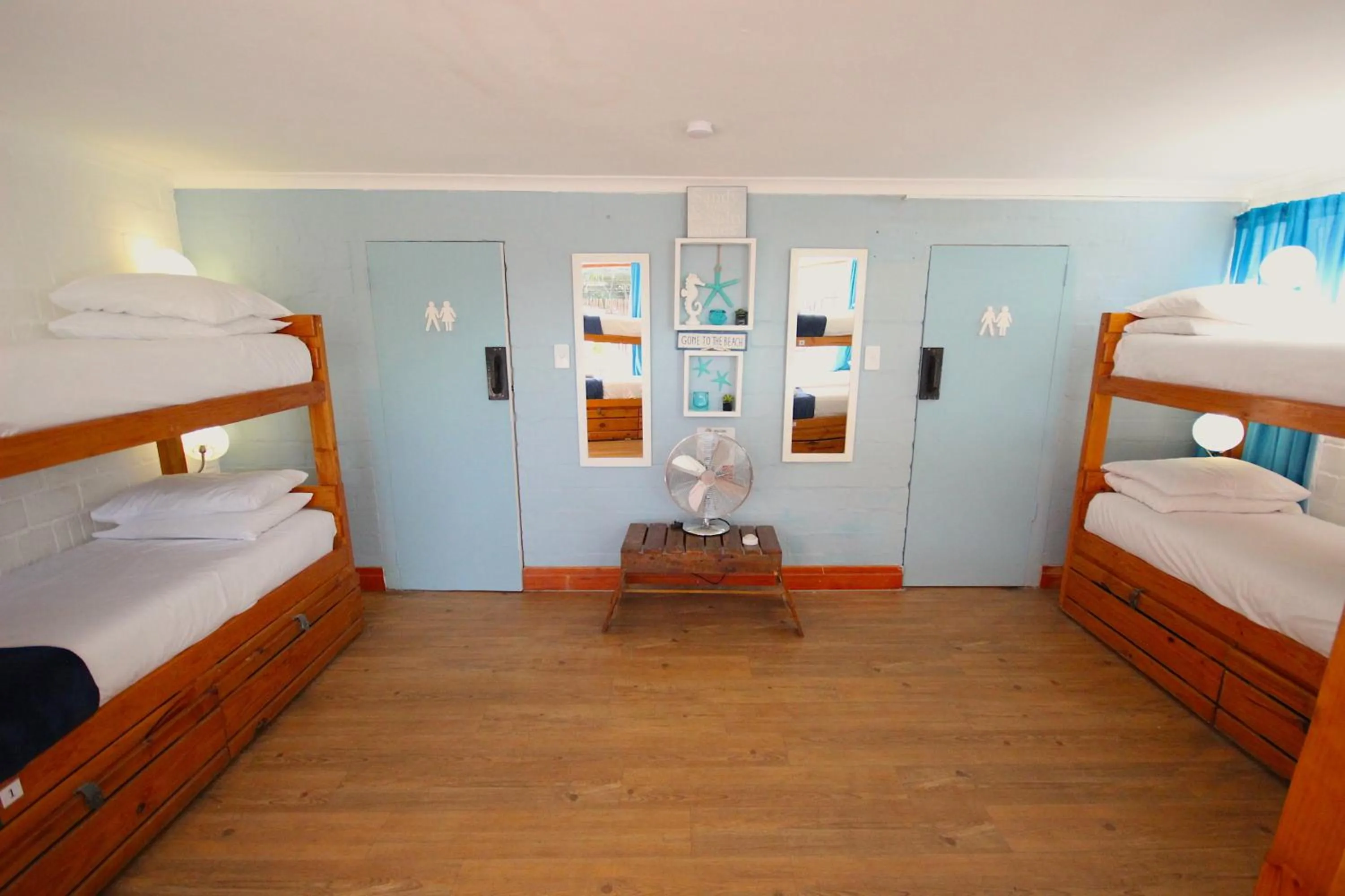 bunk bed, Bed in Saltycrax Backpackers and Surf Hostel