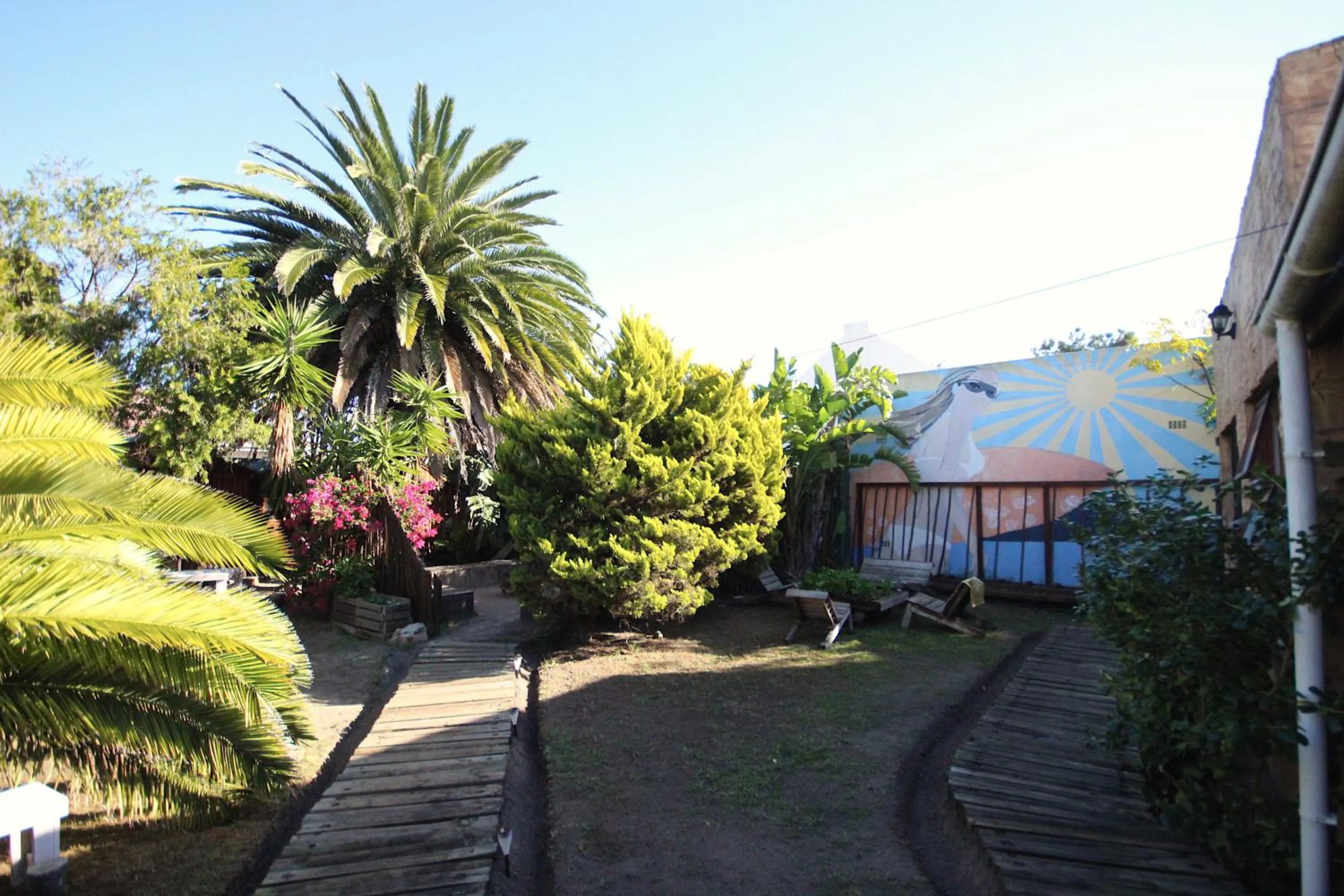 Patio in Saltycrax Backpackers and Surf Hostel