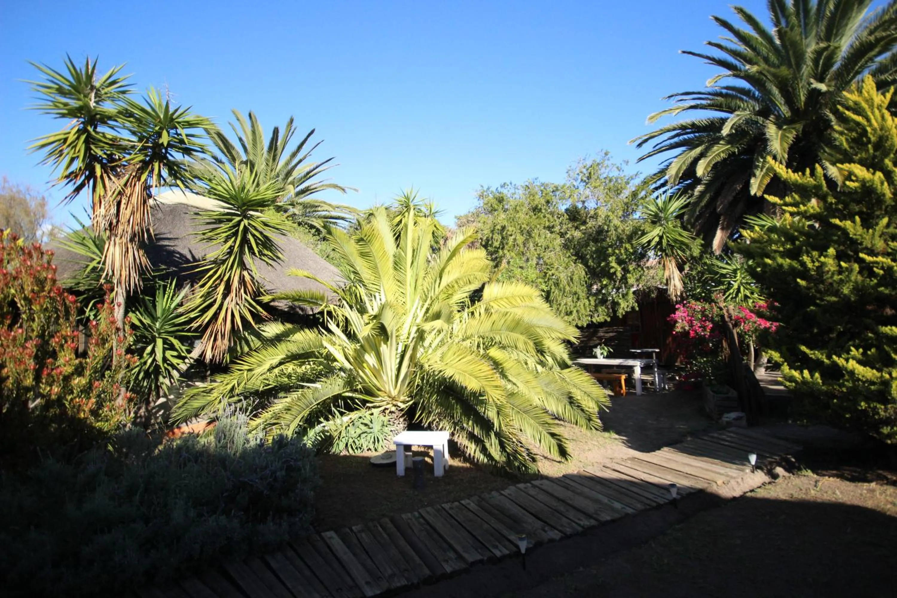 Patio in Saltycrax Backpackers and Surf Hostel