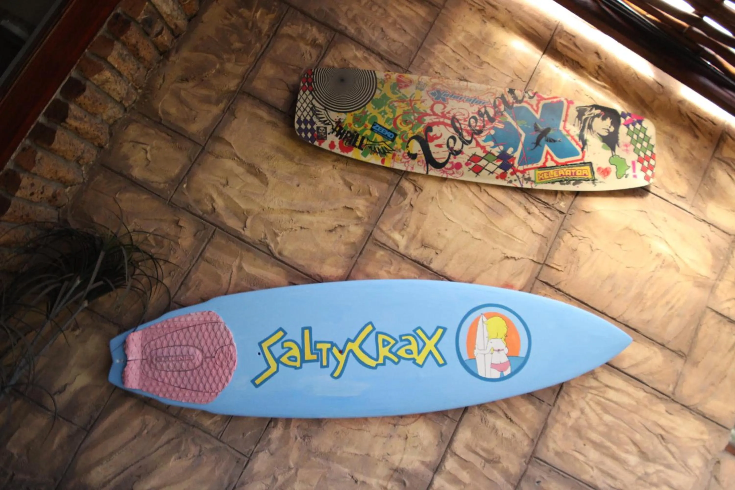 Logo/Certificate/Sign in Saltycrax Backpackers and Surf Hostel