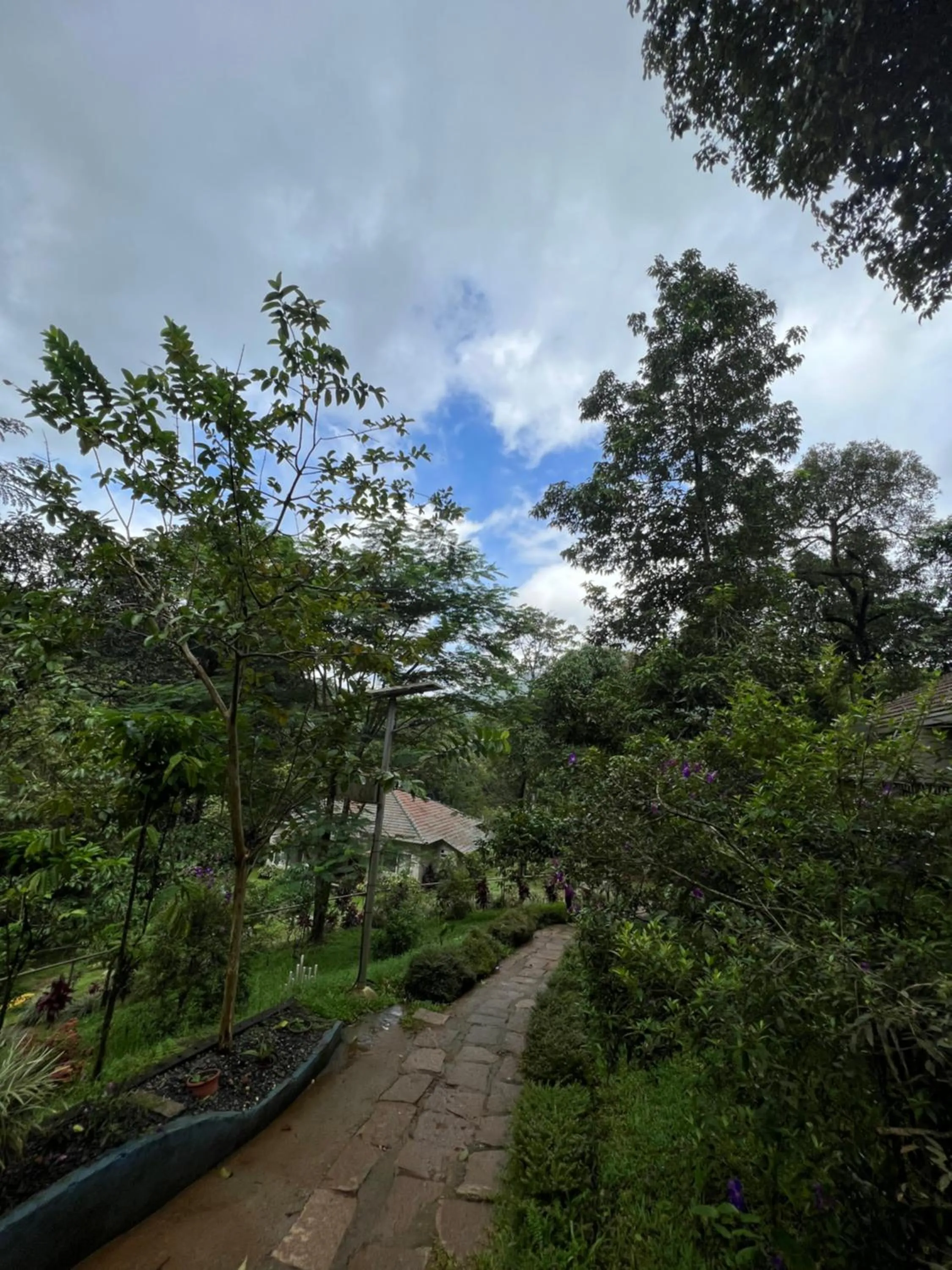 Garden view in Abad Brookside Wayanad