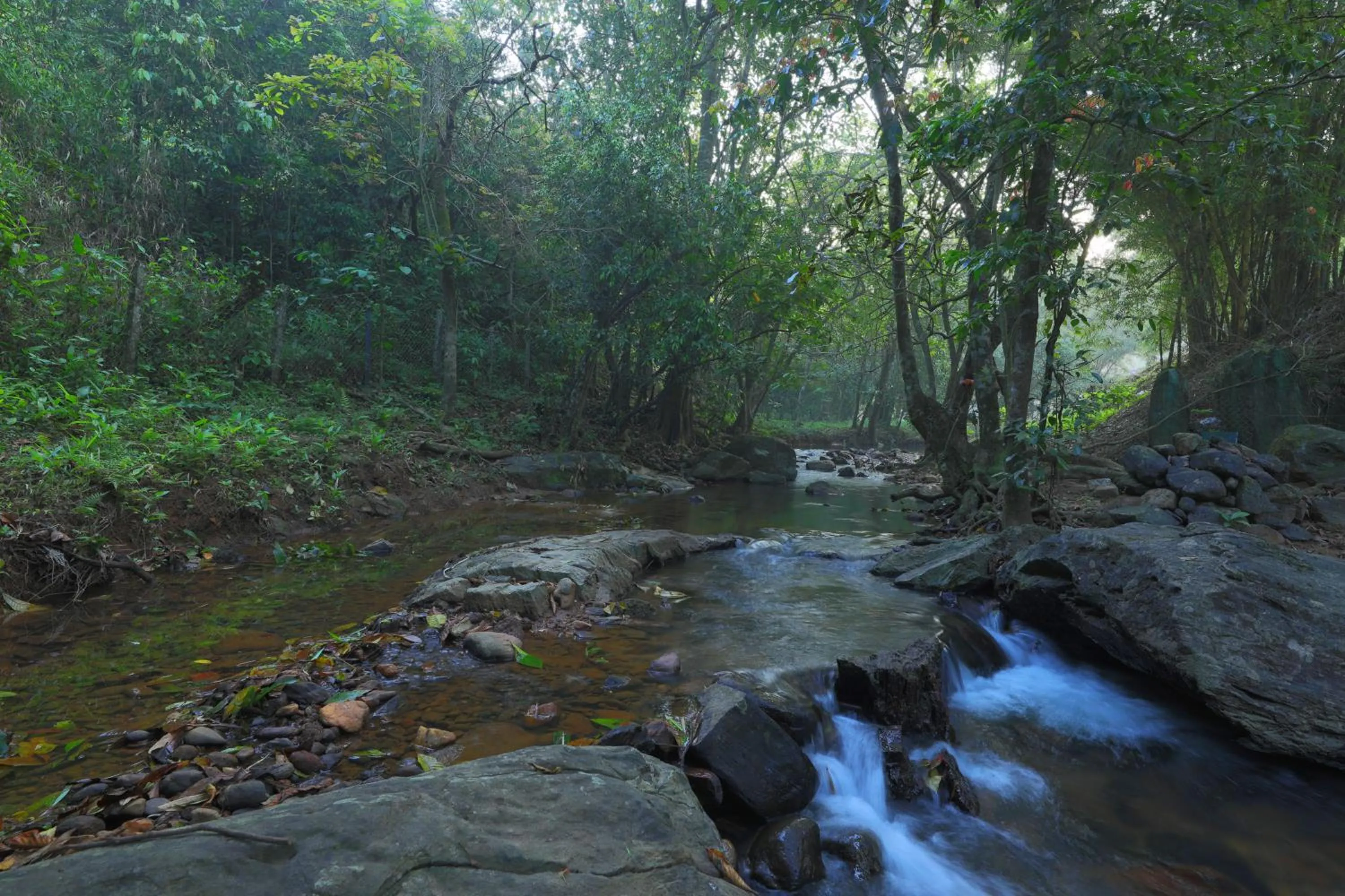 River view in Abad Brookside Wayanad