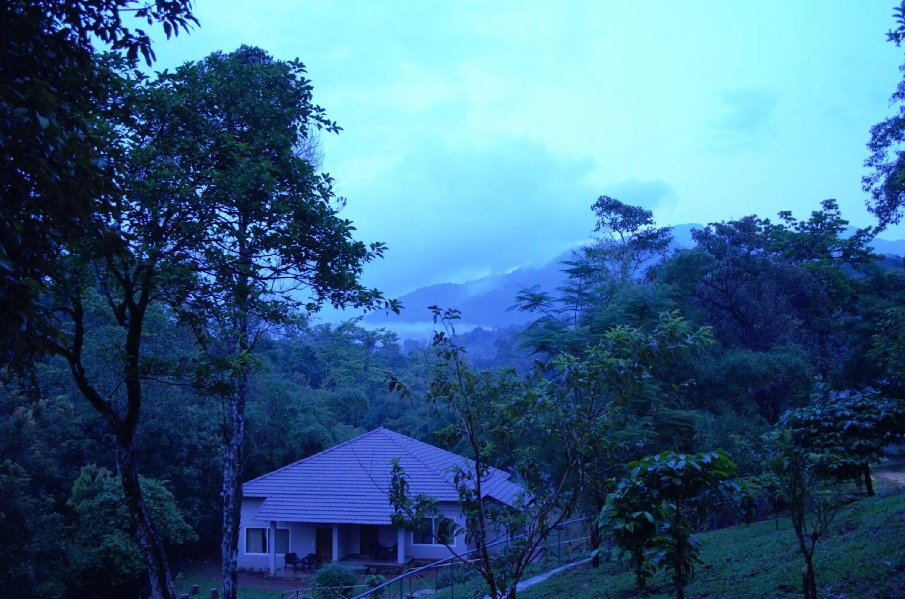 Property building in Abad Brookside Wayanad