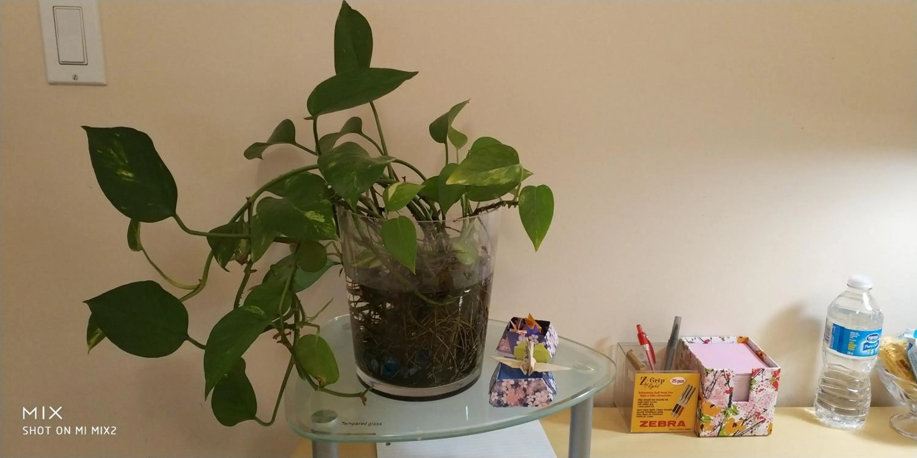 Decorative detail in Helen's House / Close to Skytrain and Airport