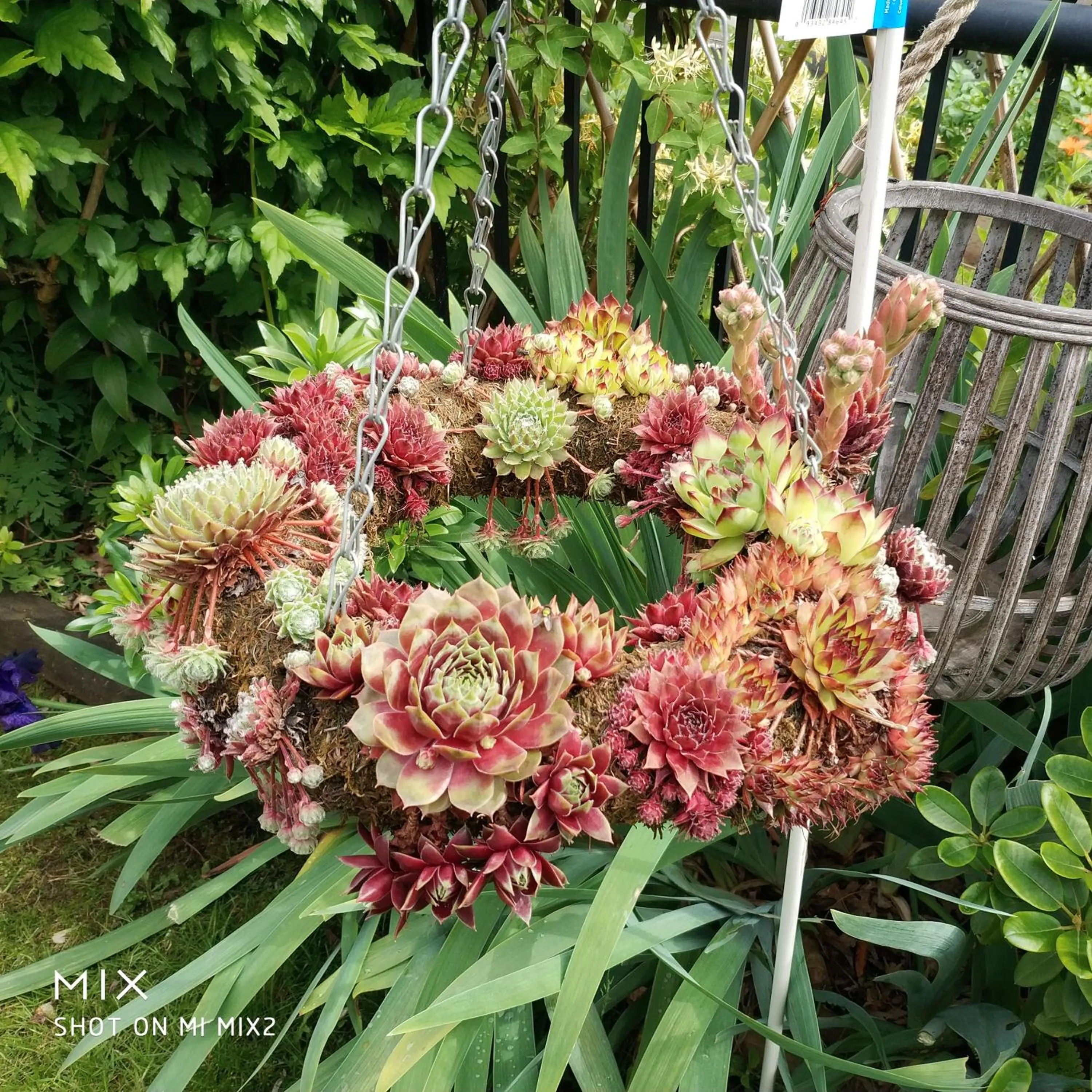 Spring in Helen's House / Close to Skytrain and Airport