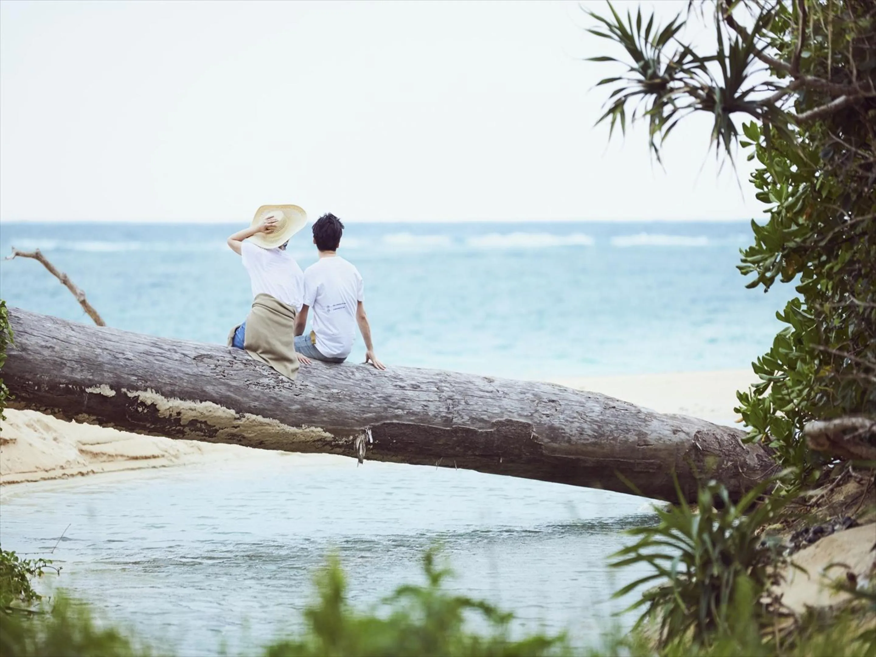 Beach in The Rescape