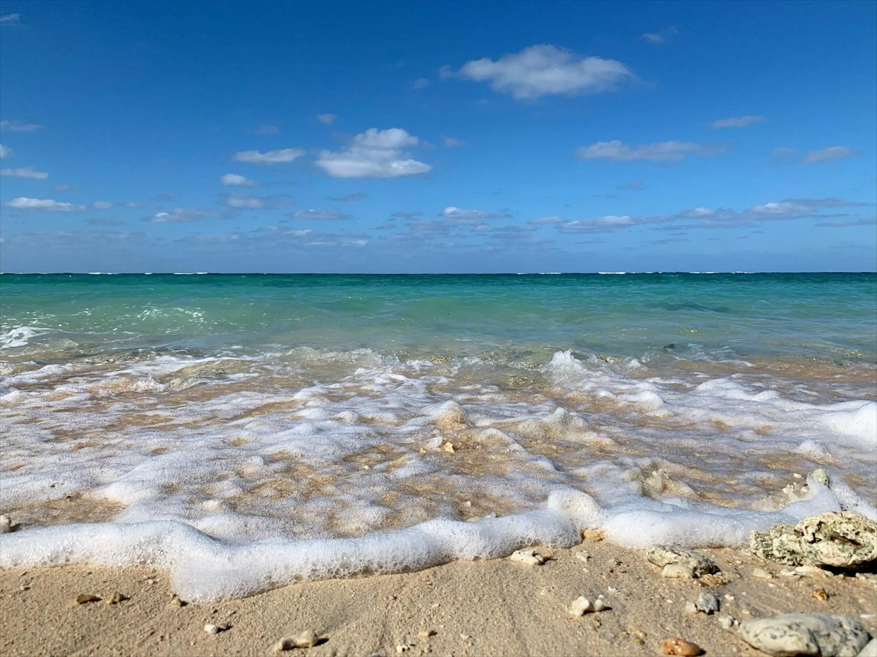 Beach in The Rescape