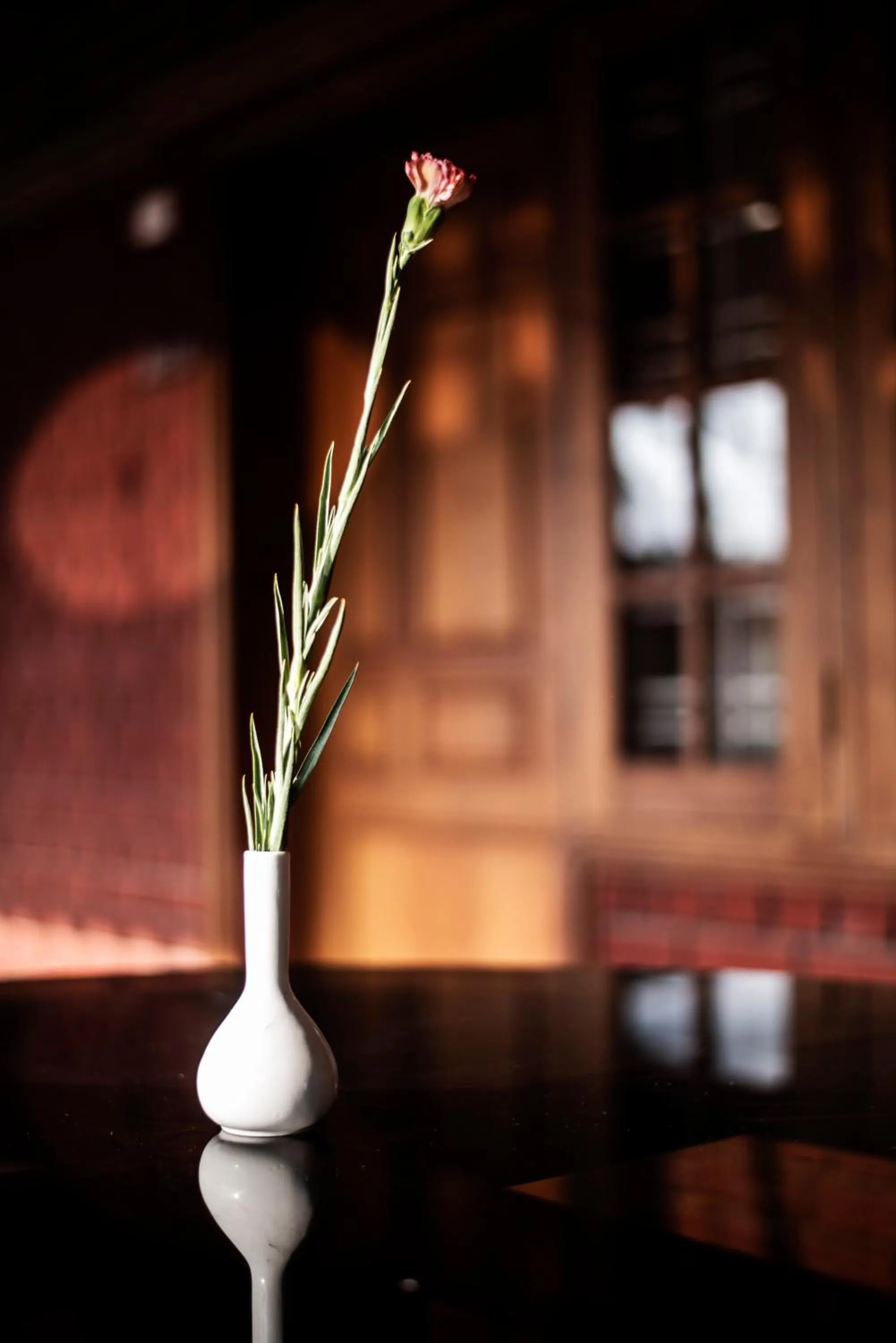 Restaurant/places to eat in Abad Dutch Bungalow