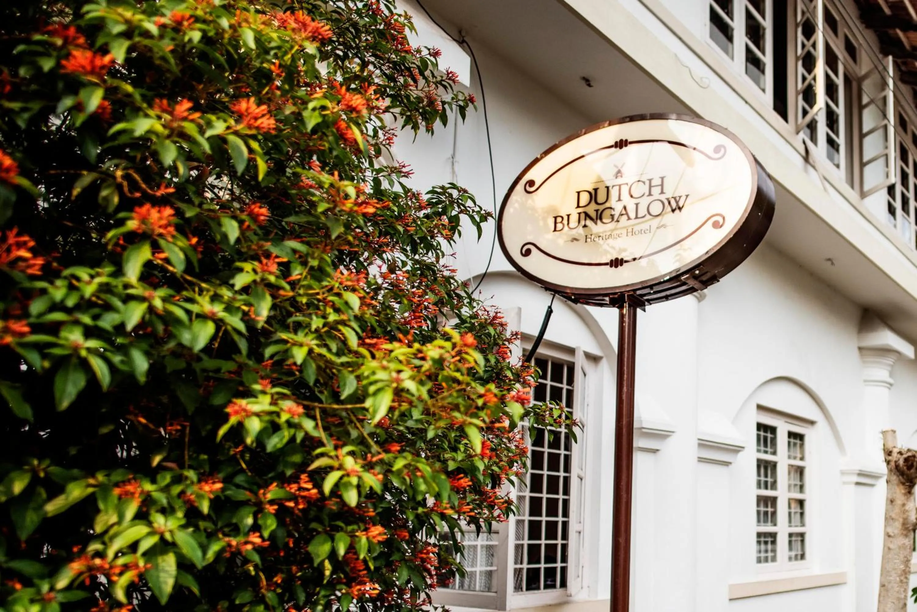 Property logo or sign in Abad Dutch Bungalow