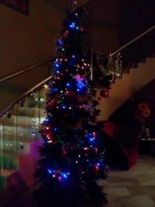 Decorative detail in Hotel Fonda Neus